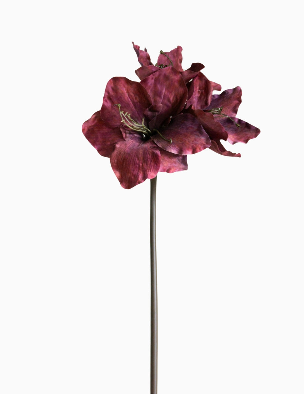Kunstblume Amaryllis Bordeaux