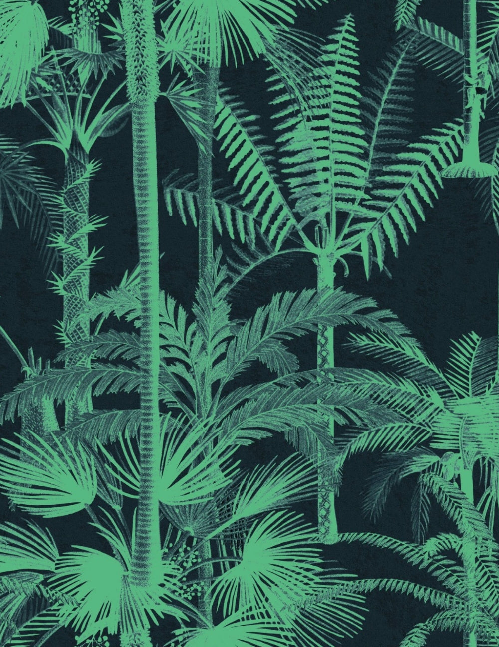 Wandtapete Palmera Cubana Dark