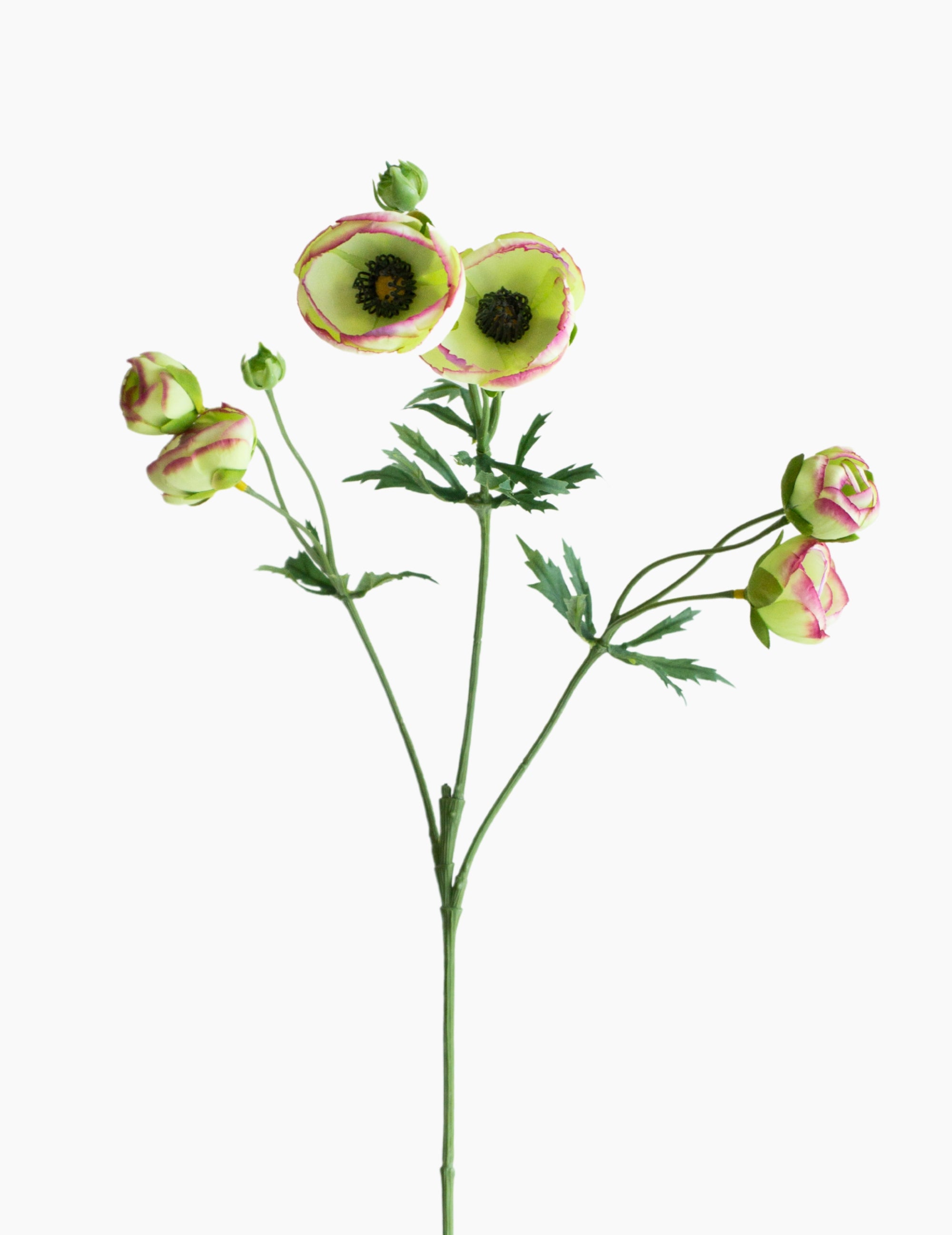 Kunstblume Ranunkel Grün-Pink