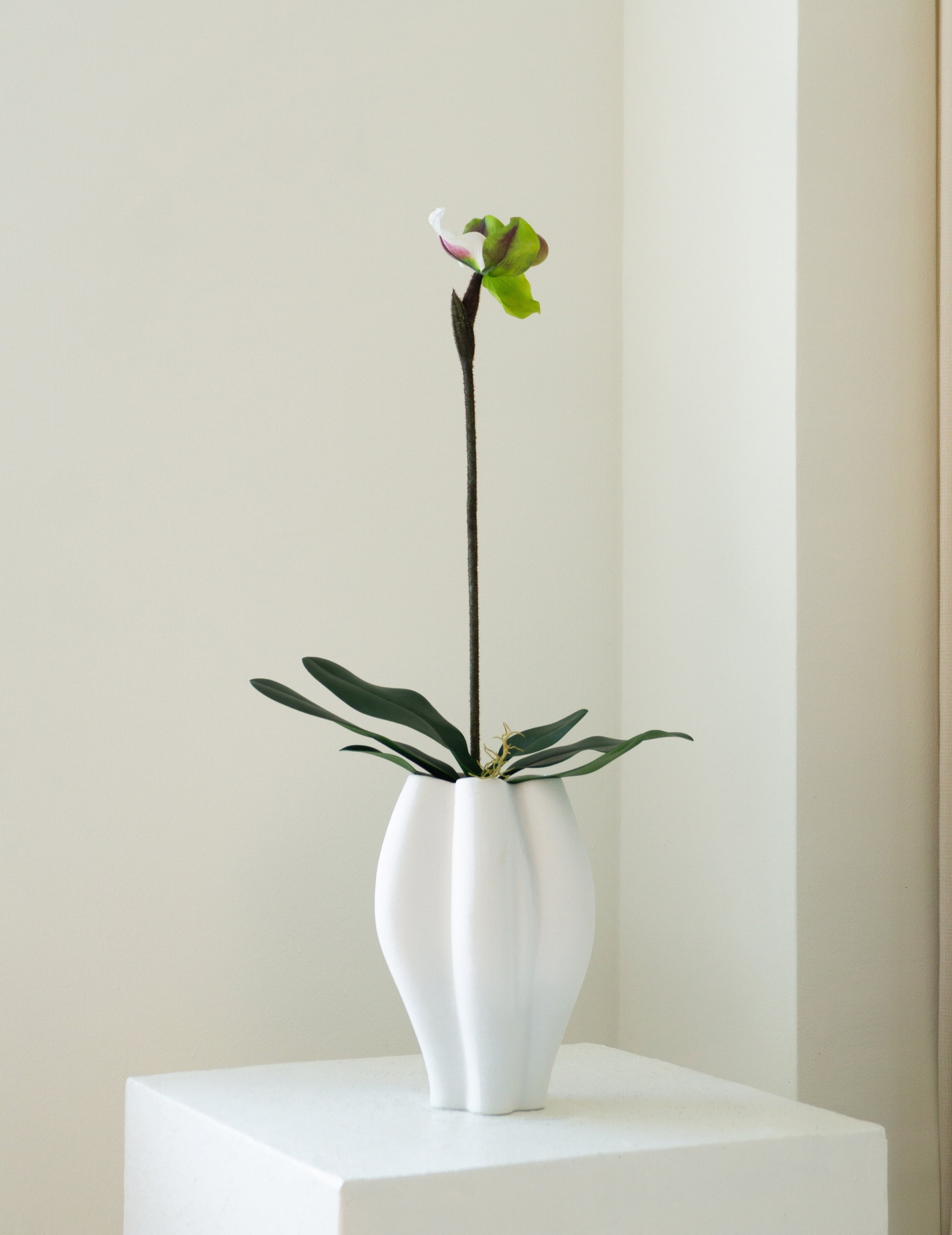 Kunstblume Frauenschuhorchidee 'Real Touch' Grün