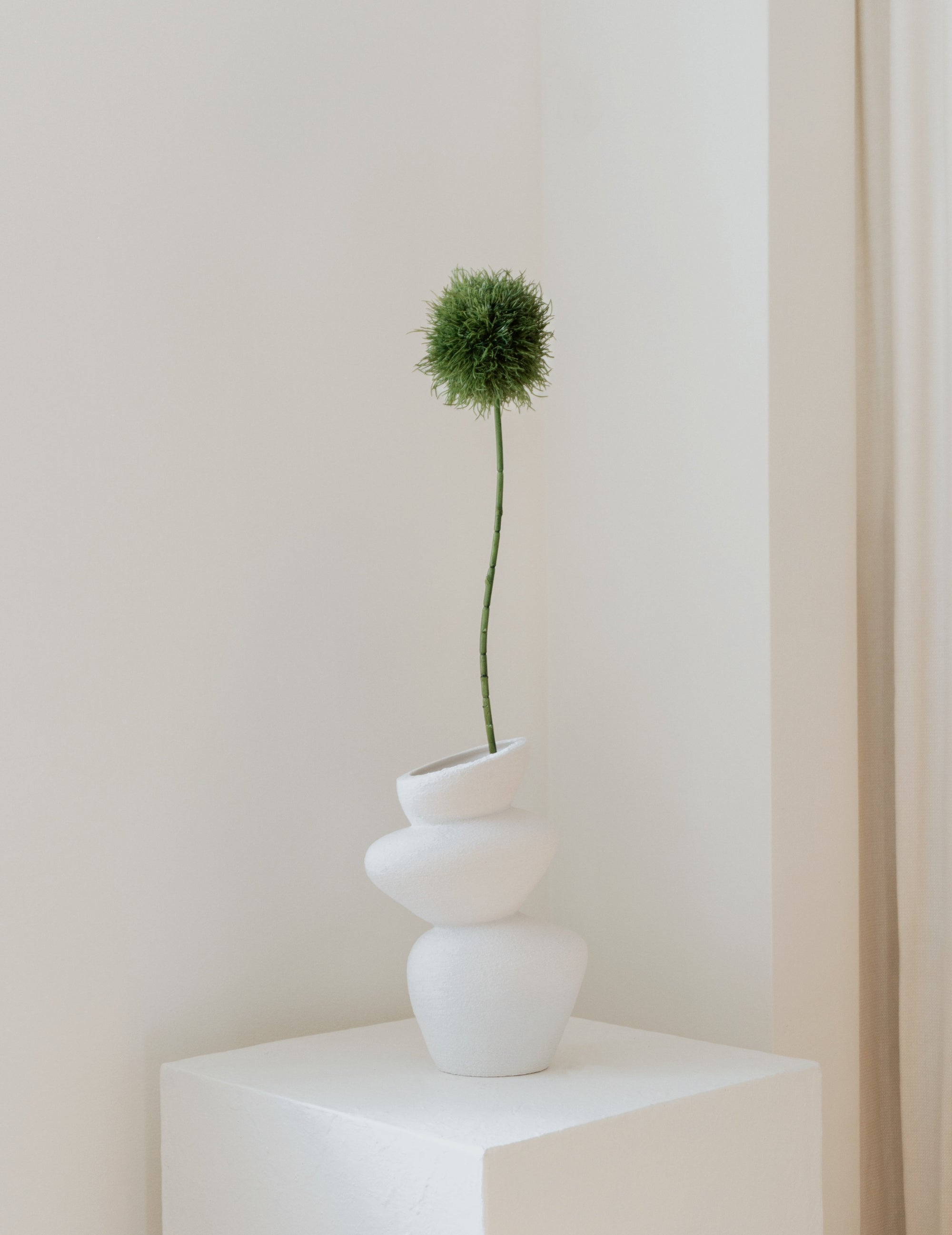 Art flower Allium dark green