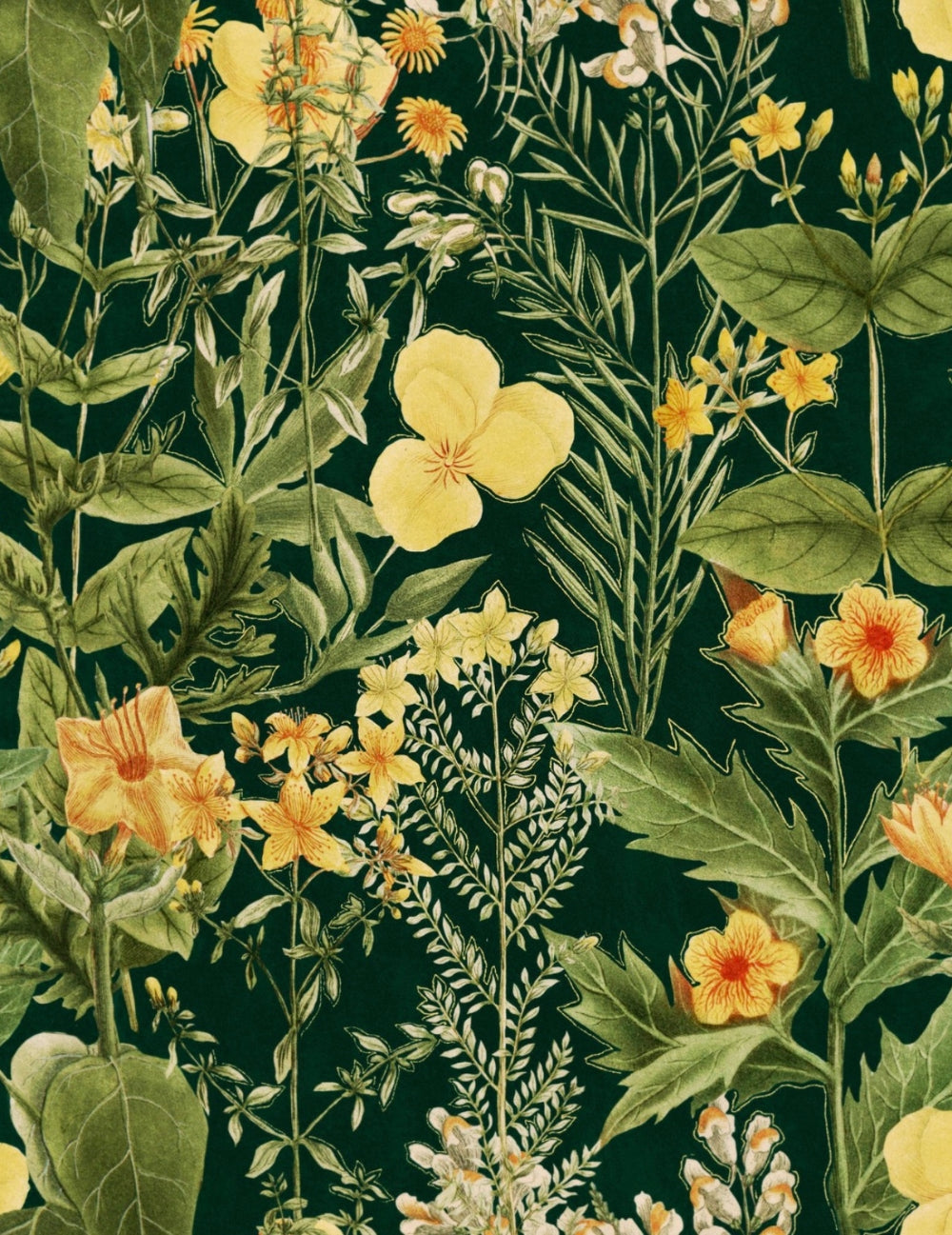 Wandtapete Mimulus Anthrazit