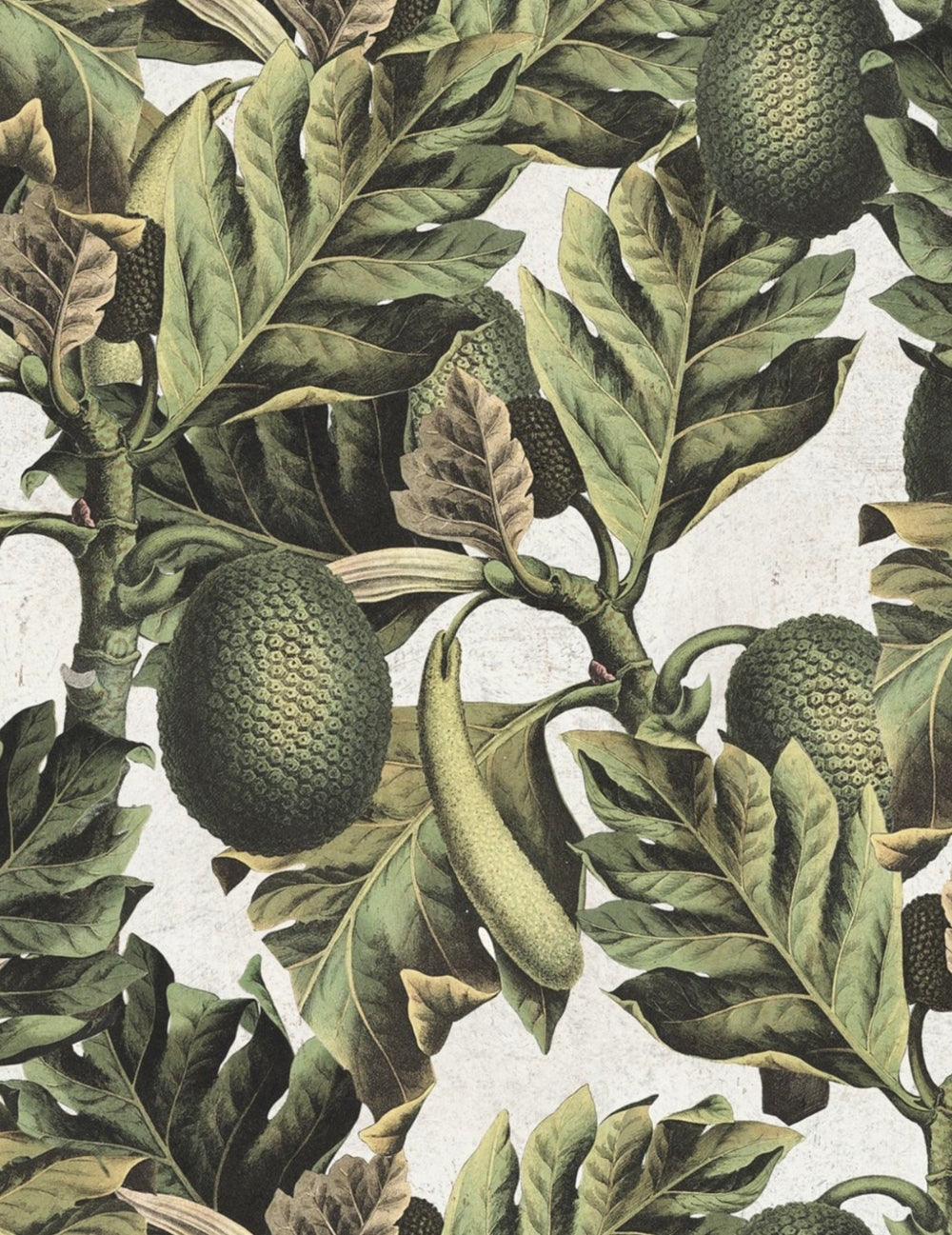 Wandtapete Exotic Fruit I