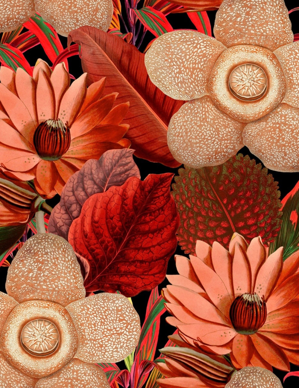 Wandtapete Water Lilies