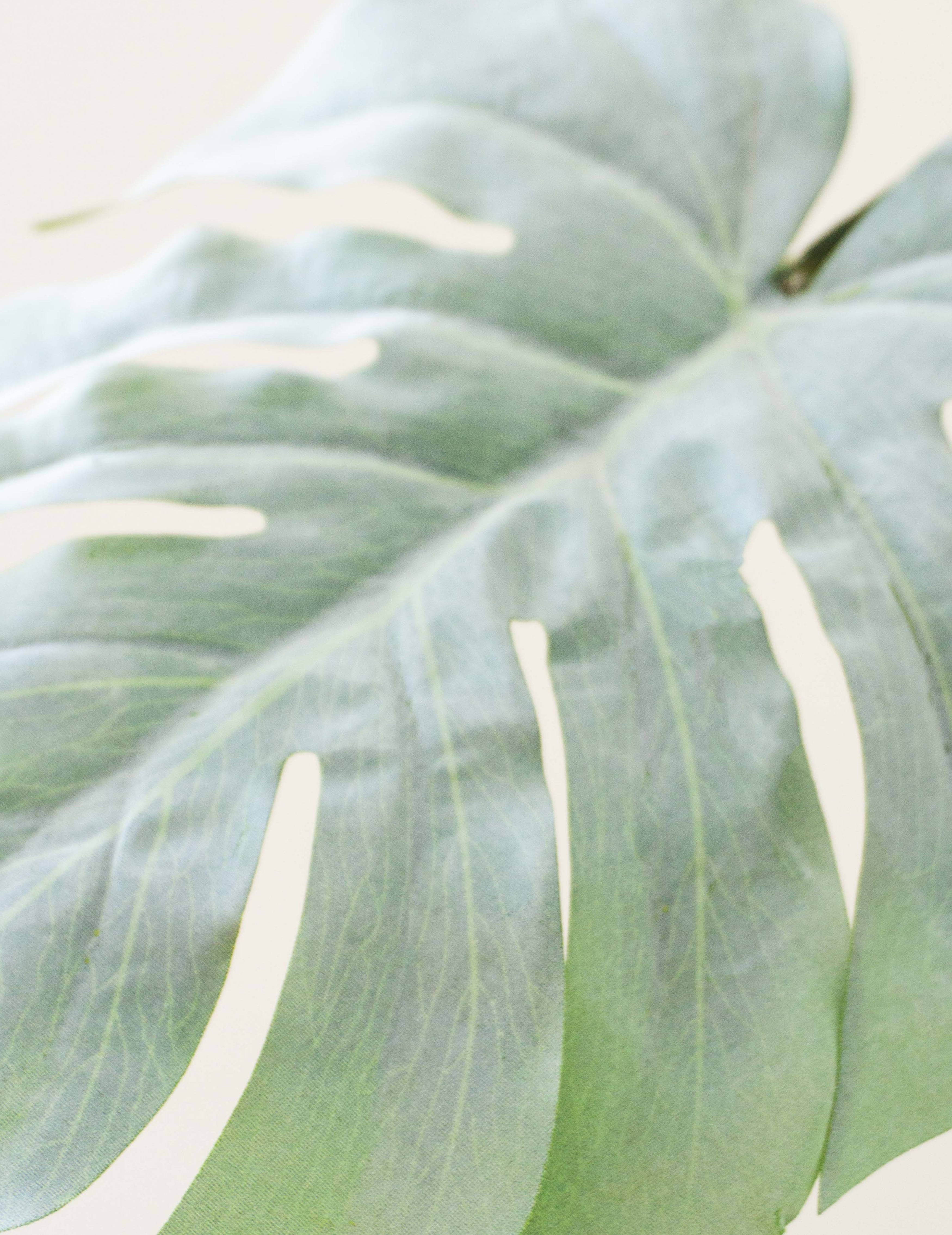 Kunstblume Splitphiloblatt Silbergrün