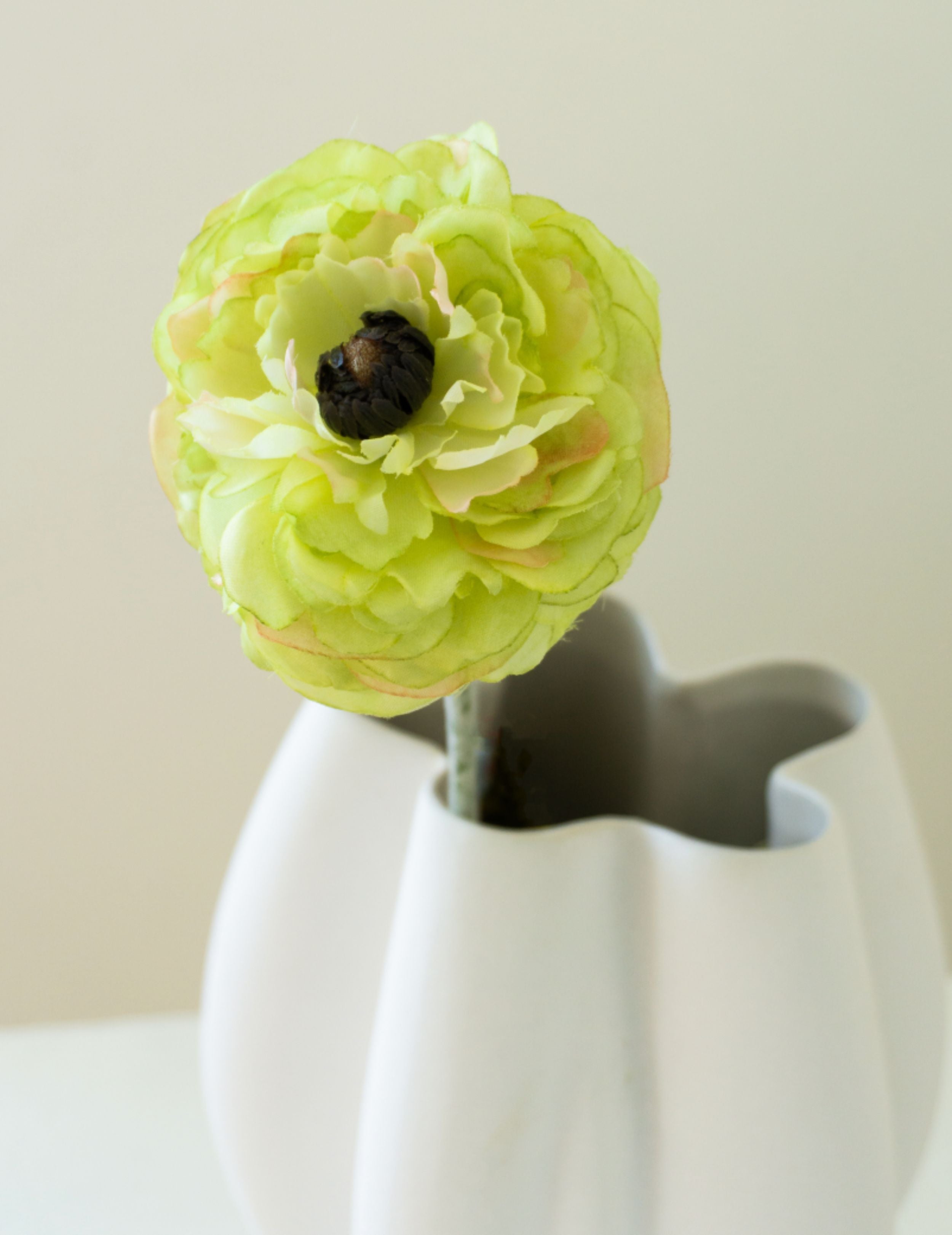Kunstblume Ranunkel Hellgrün