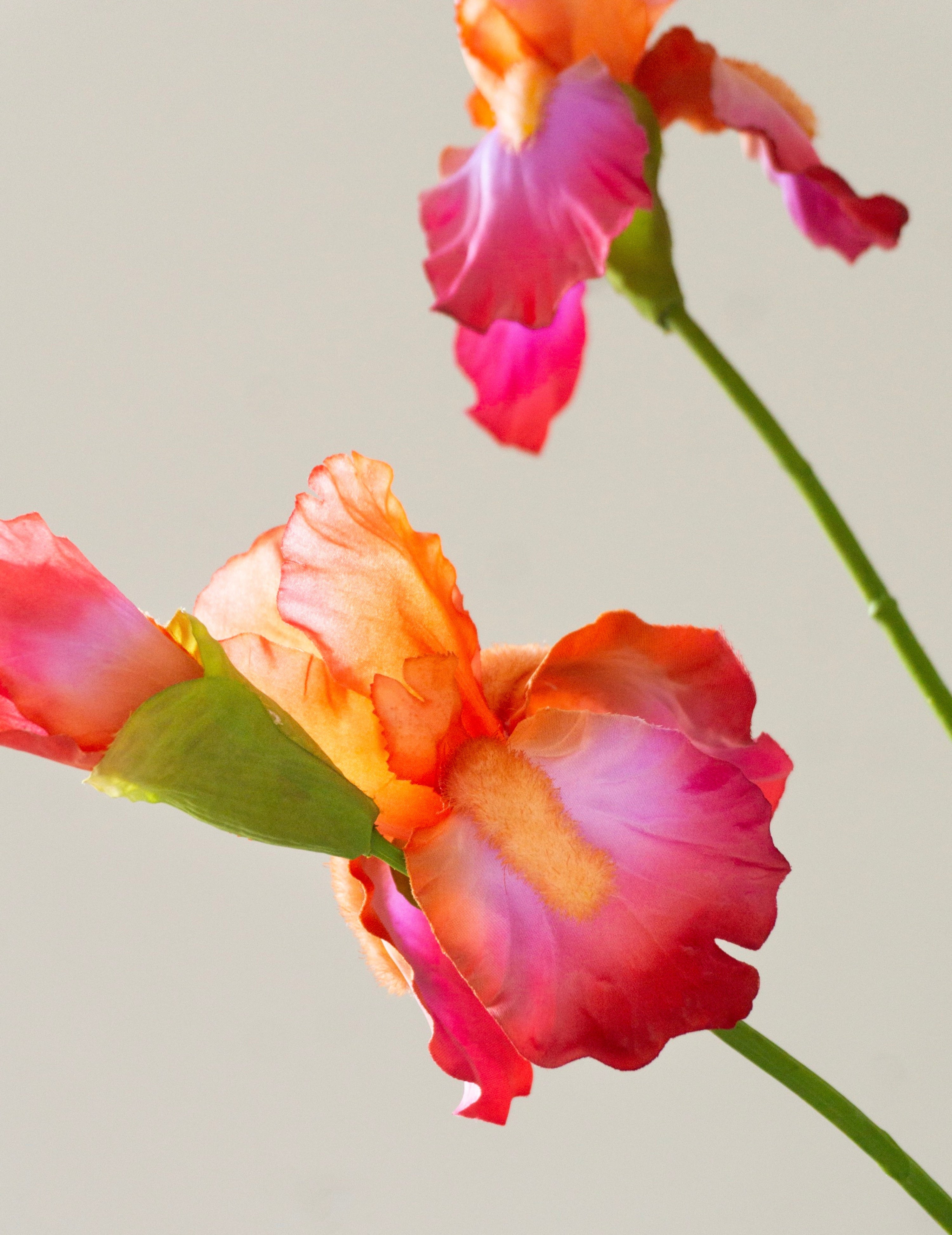 Kunstblume Iris Pink-Orange