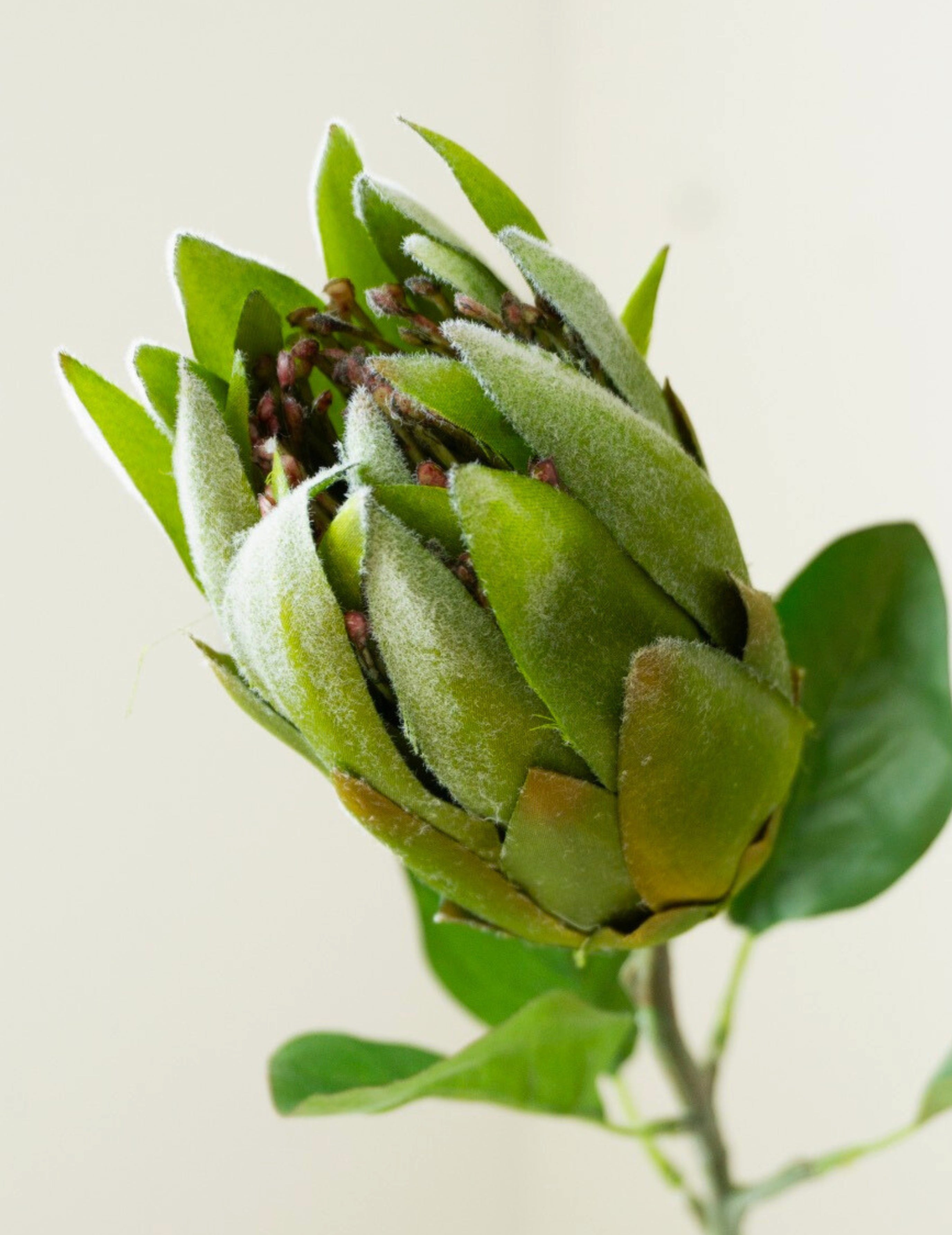 Artificial Flower Protea Green