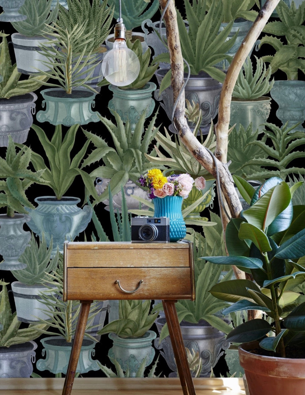 Wandtapete Echeveria