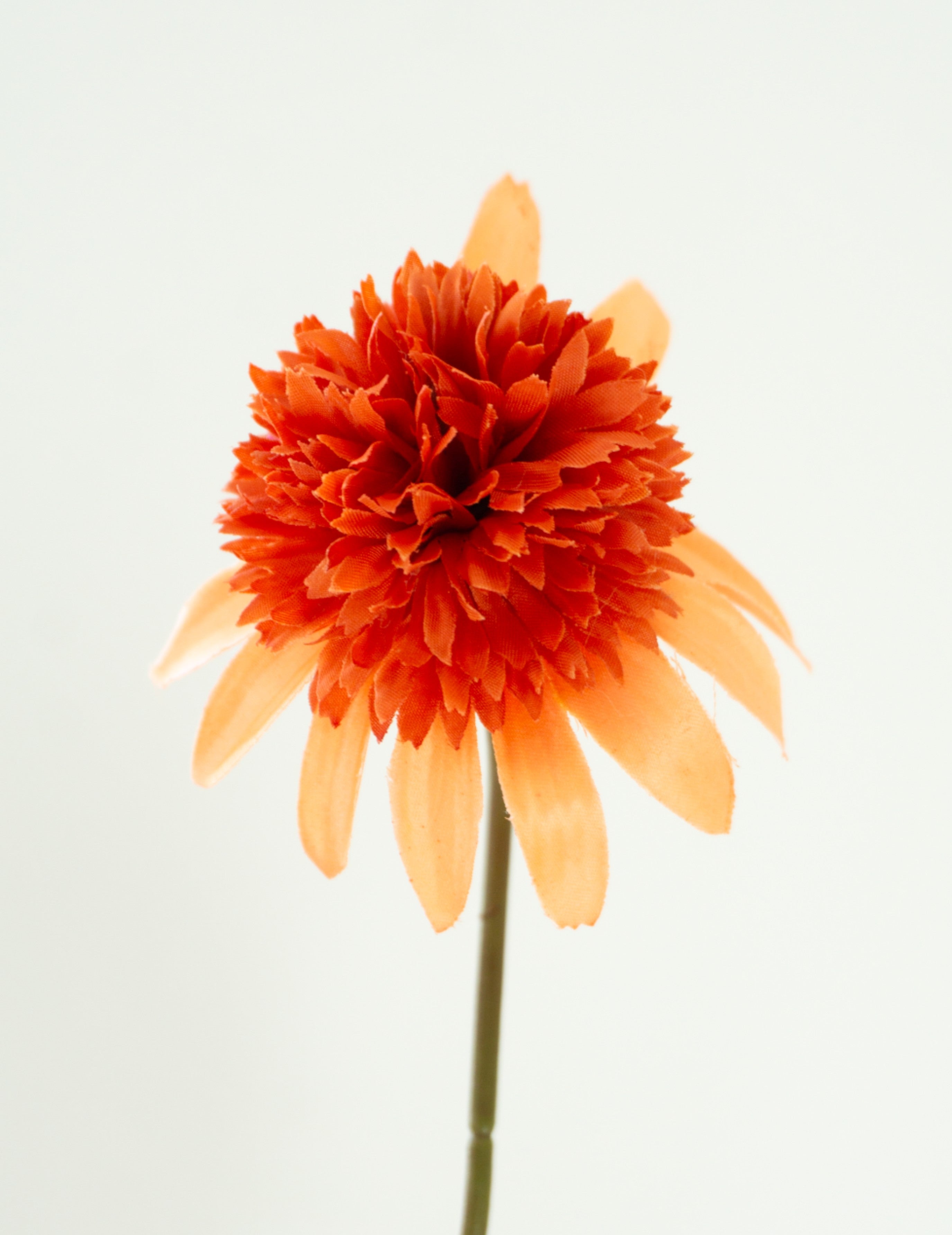 Kunstblume Sonnenhut Orange-Rot