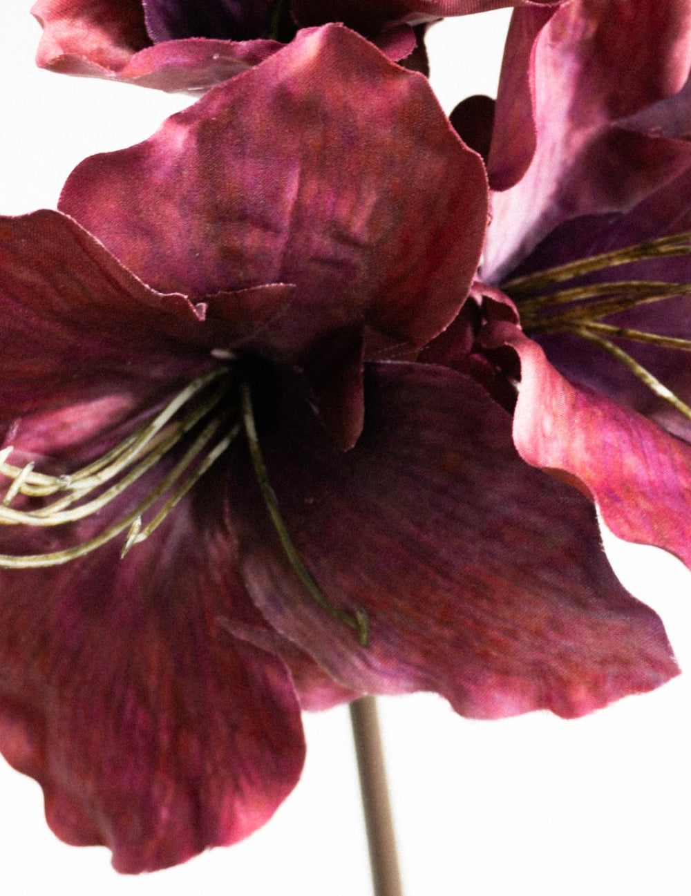 Kunstblume Amaryllis Bordeaux