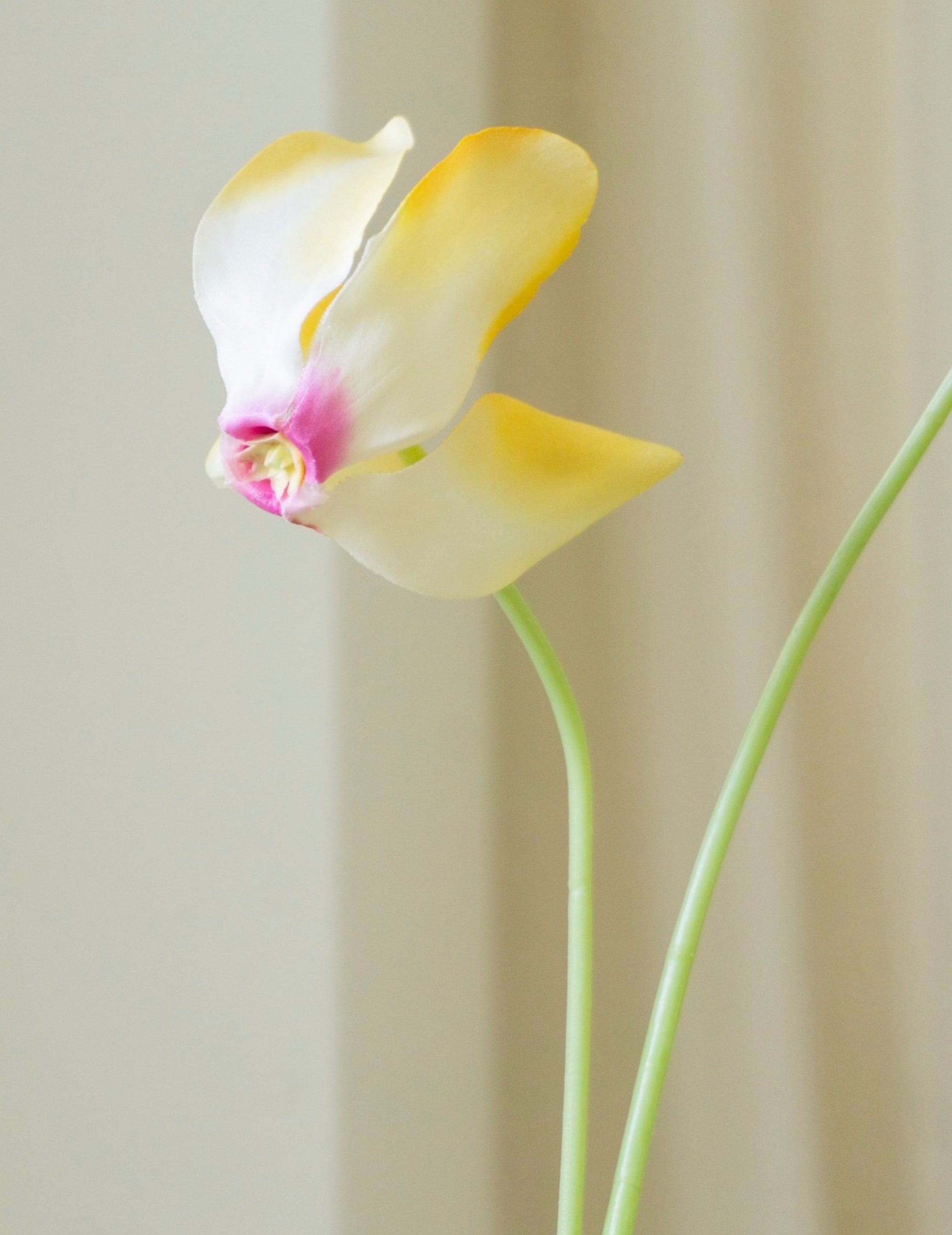 Kunstblume Alpenveilchen Gelb