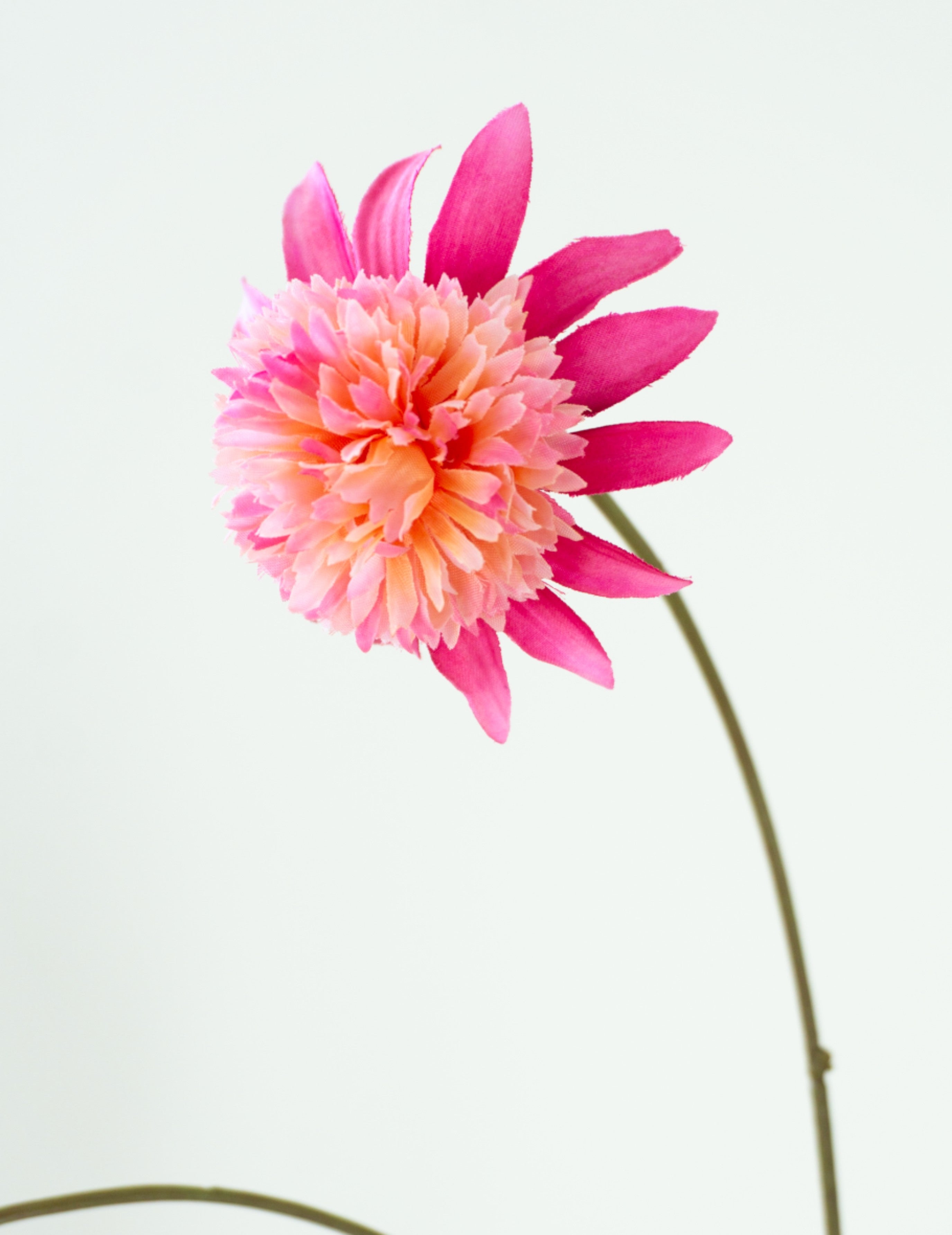 Kunstblume Sonnenhut Pink