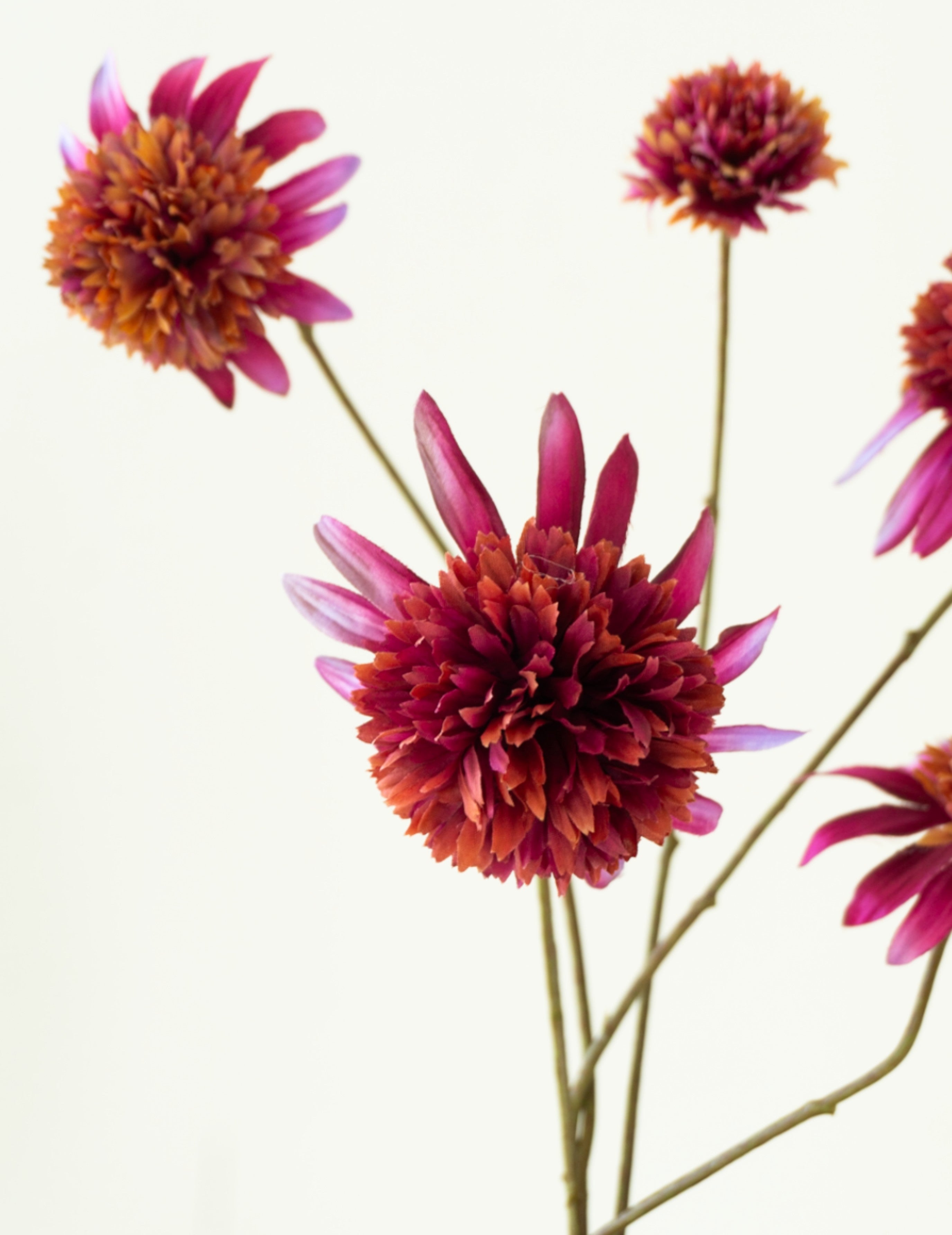 Kunstblume Sonnenhut Purpur