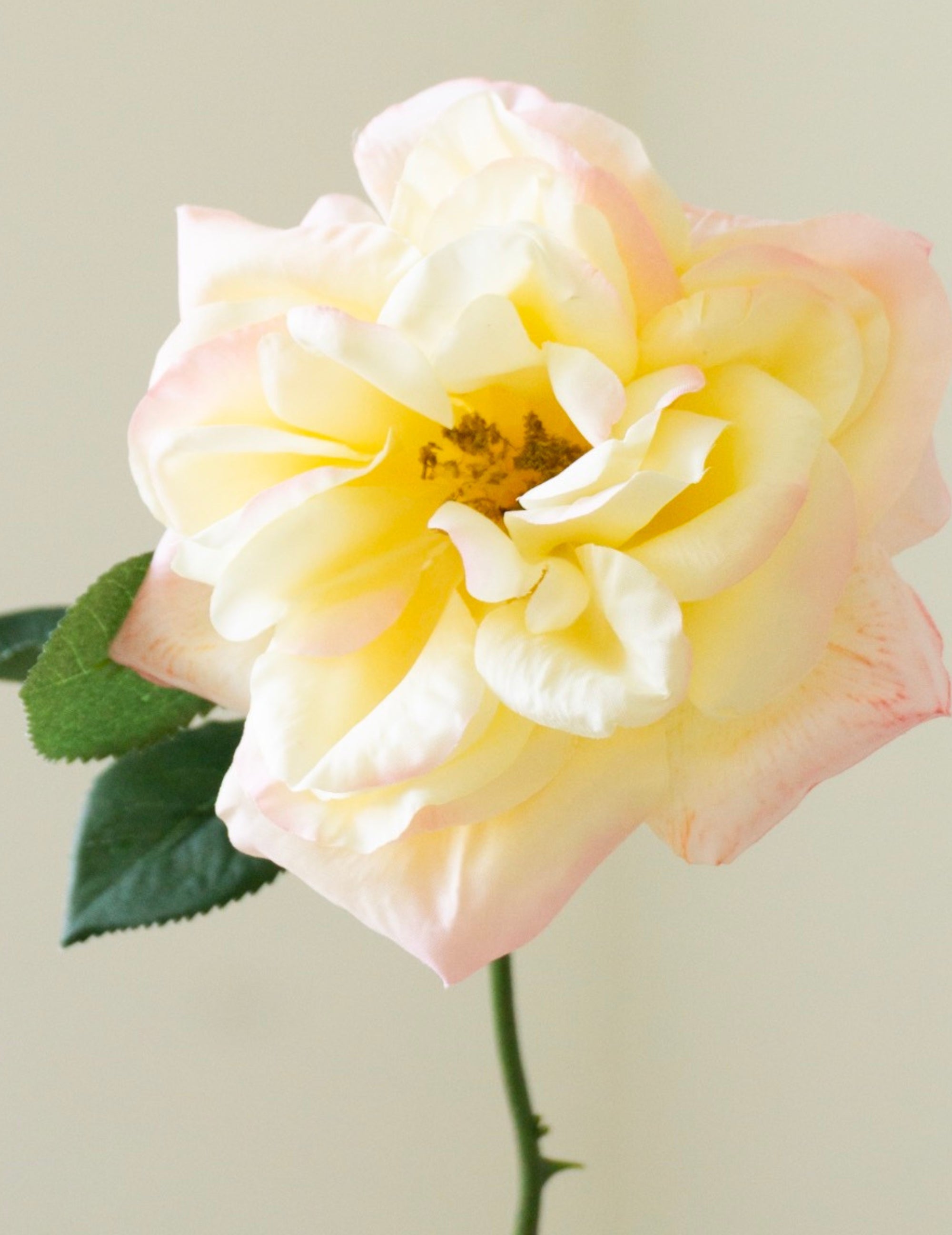 Kunstblume Rose Hellgelb-Rosa