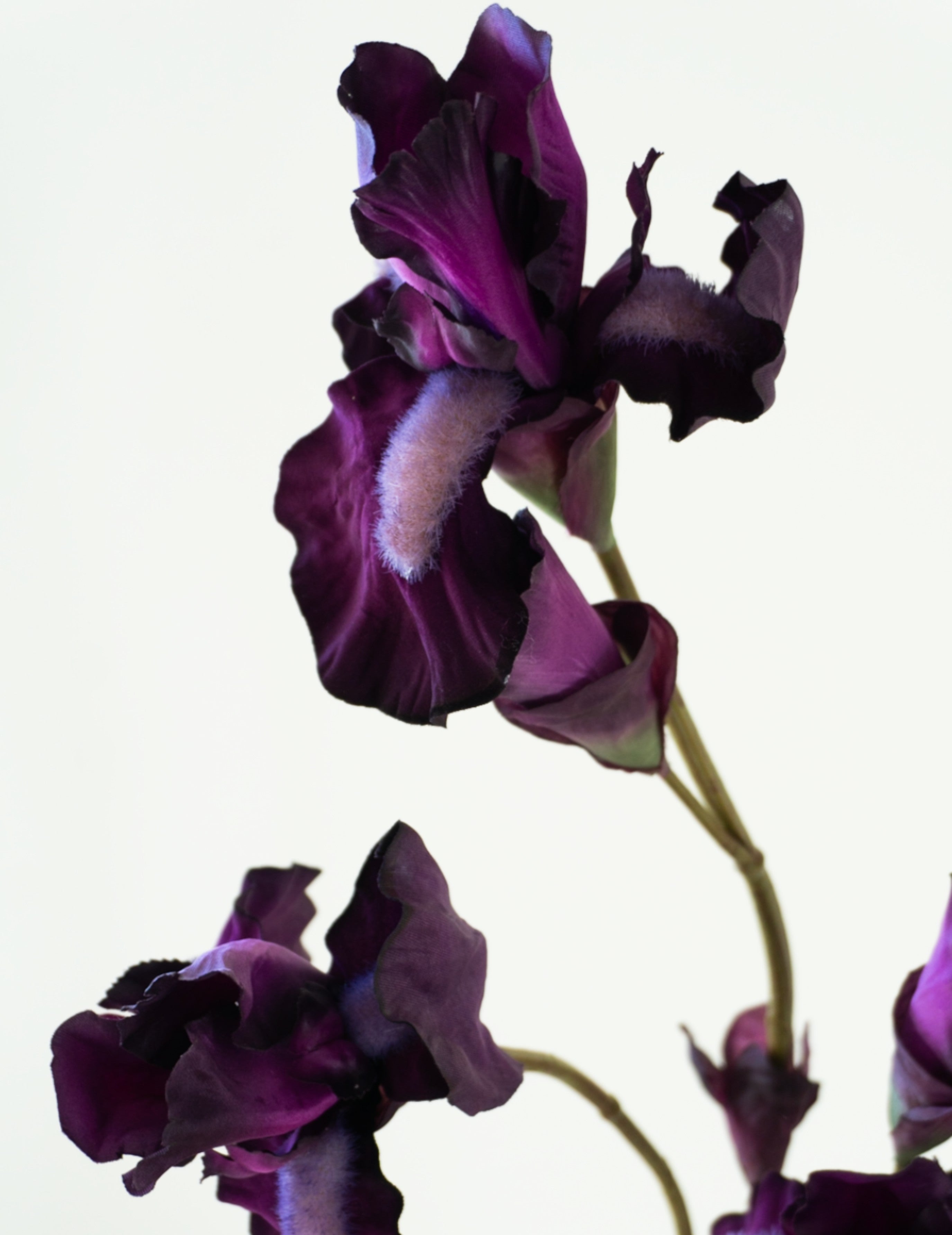 Kunstblume Iris Violett