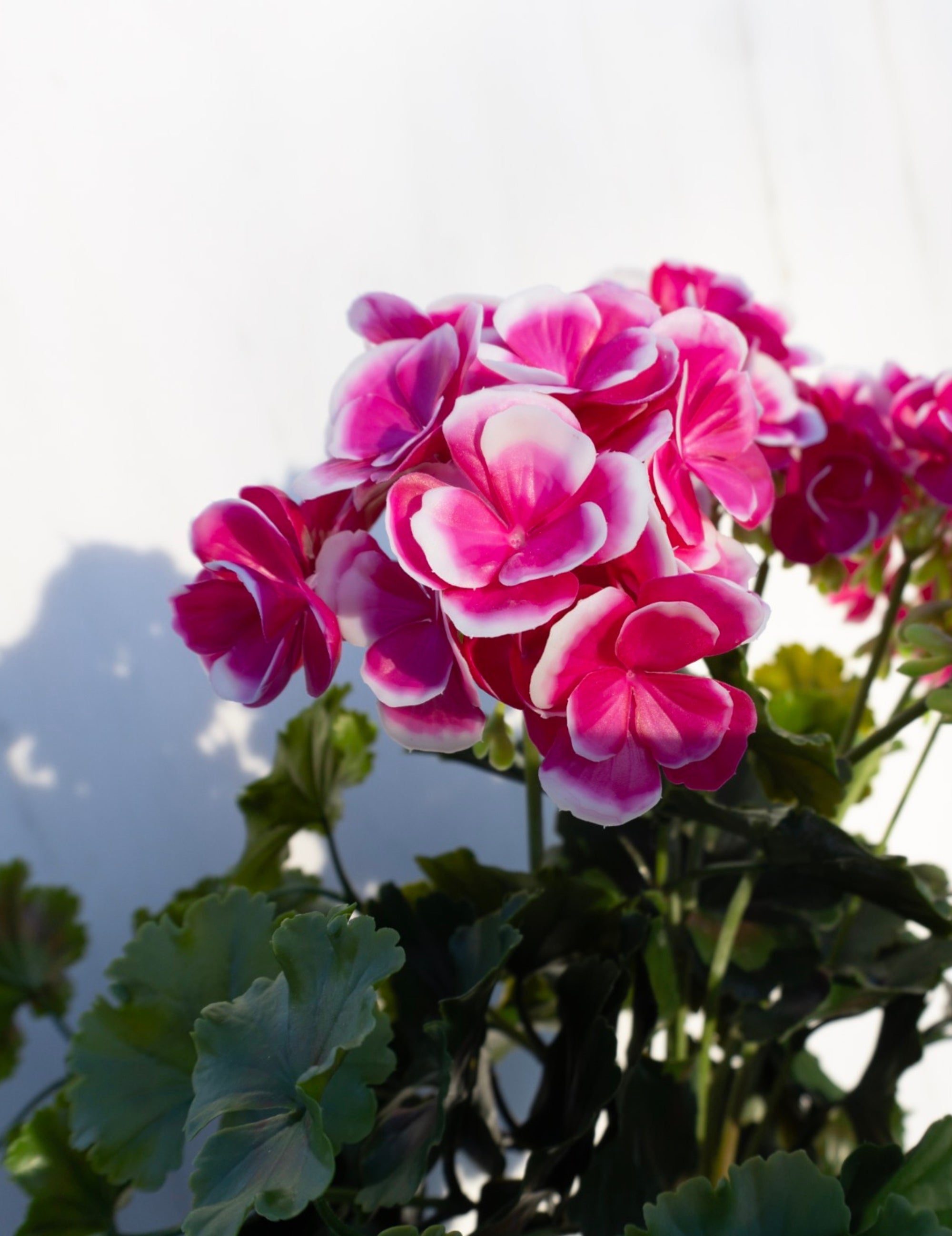 Kunstblume Geranie Pink