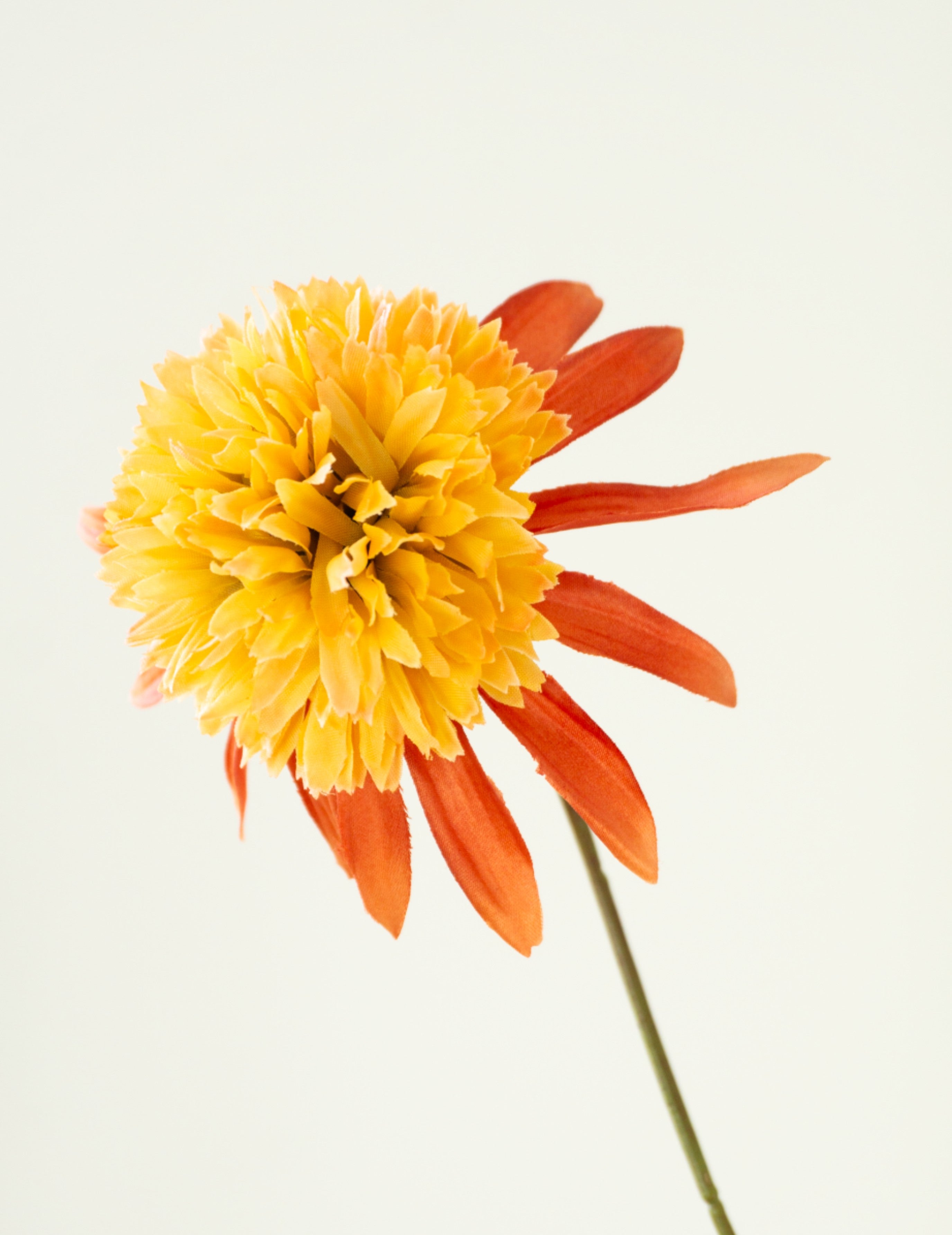 Kunstblume Sonnenhut Lachs