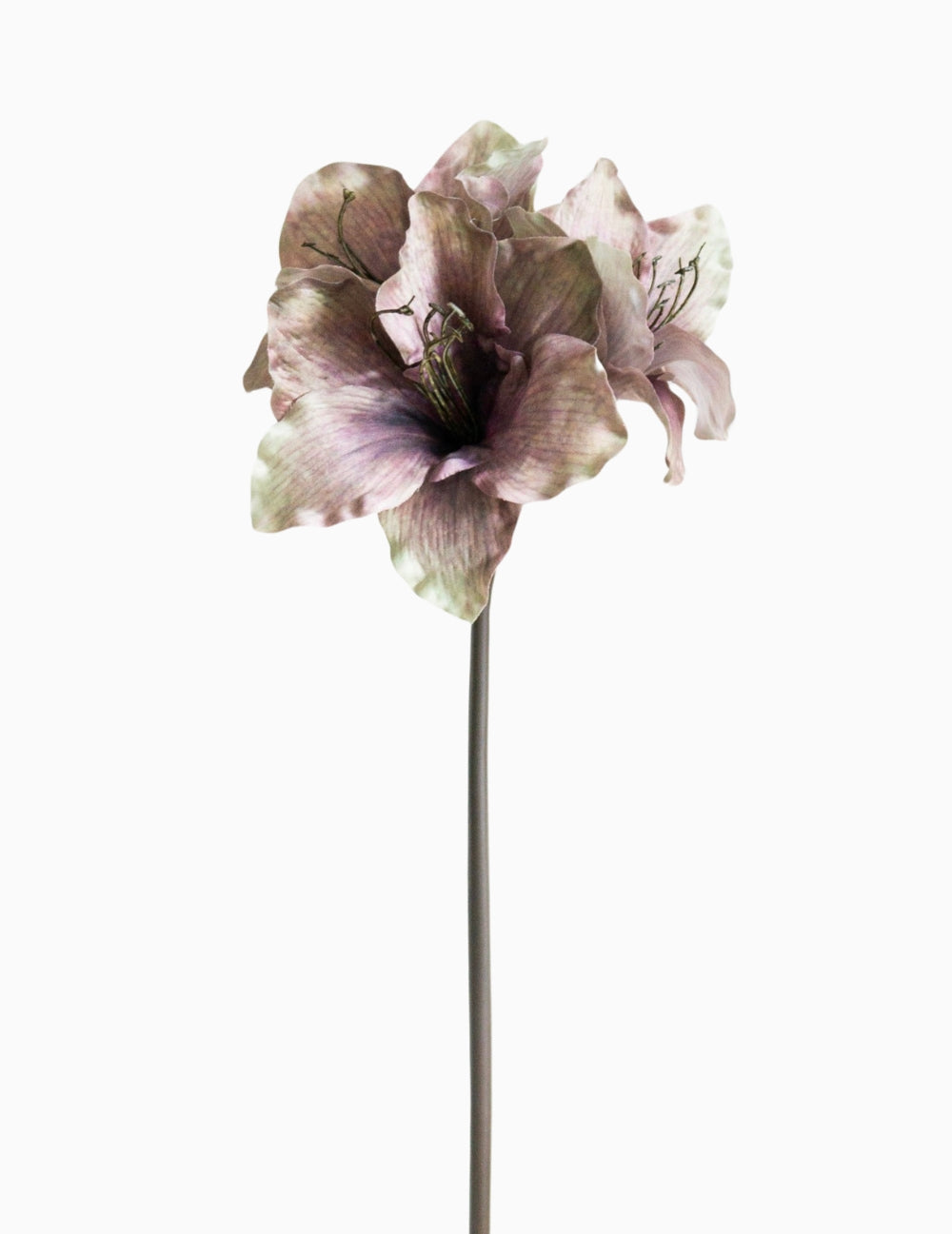 Kunstblume Amaryllis Violett-Braun