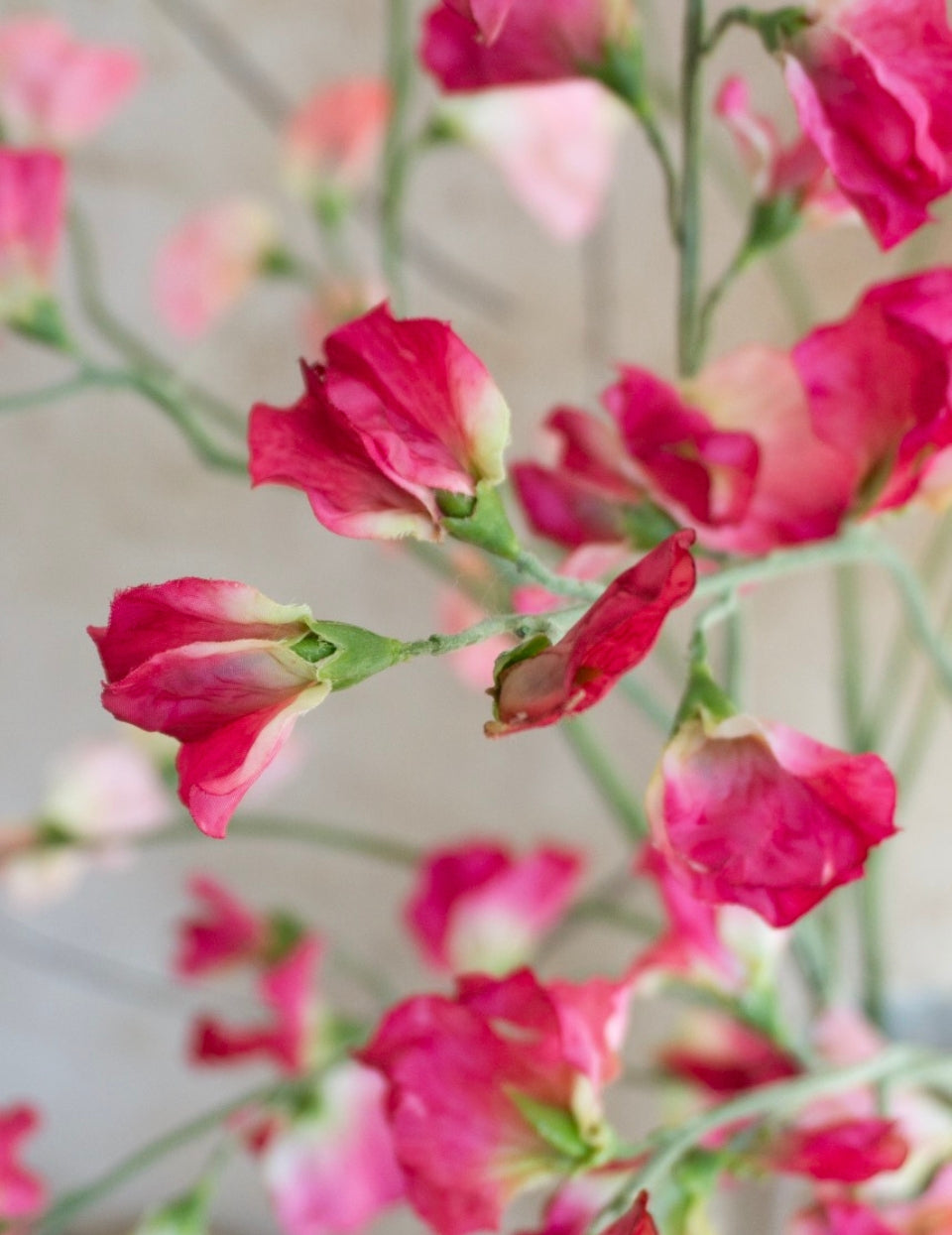 Mesterséges virág édes borsó rózsaszín