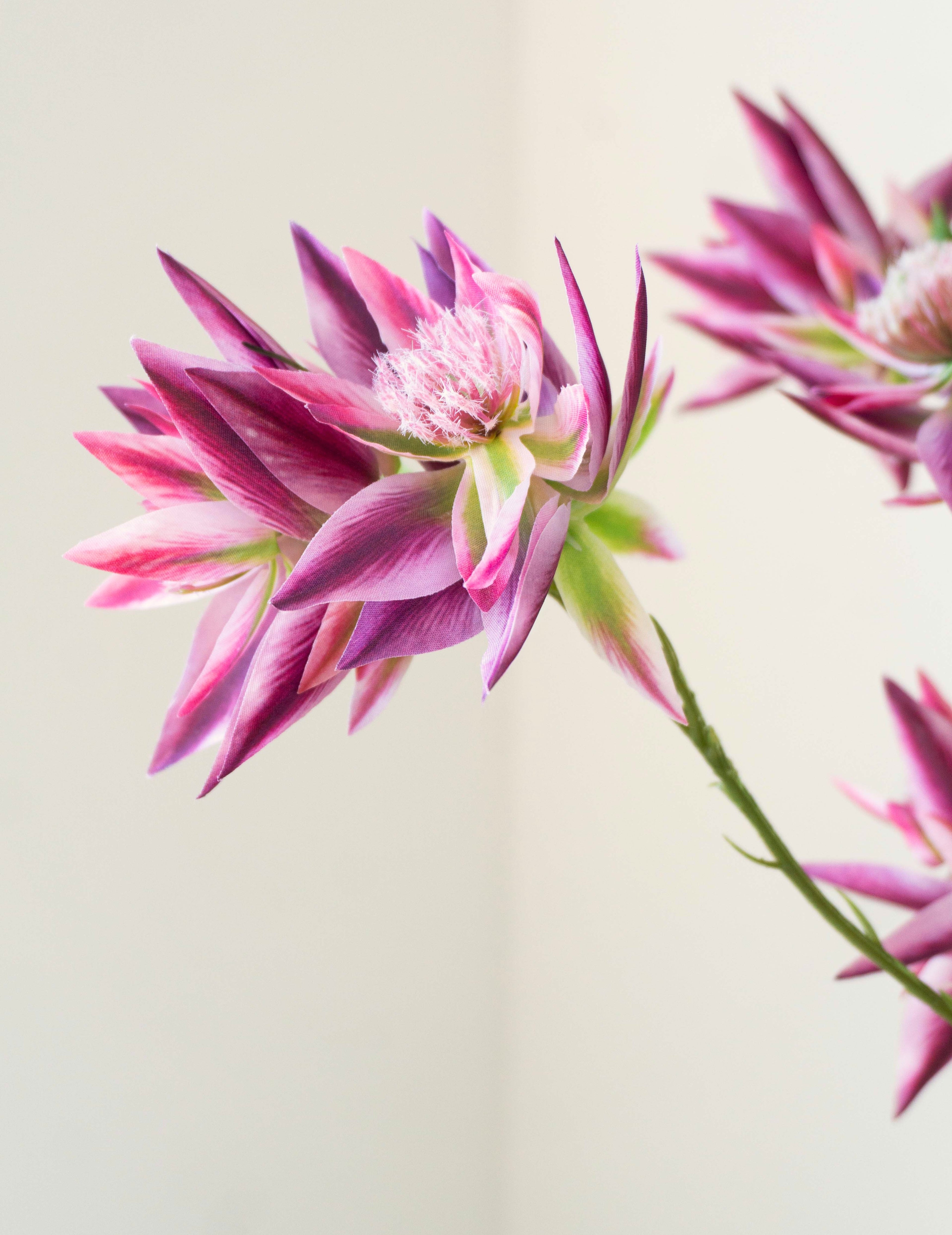 Kunstblume Proteazweig Lila-Pink