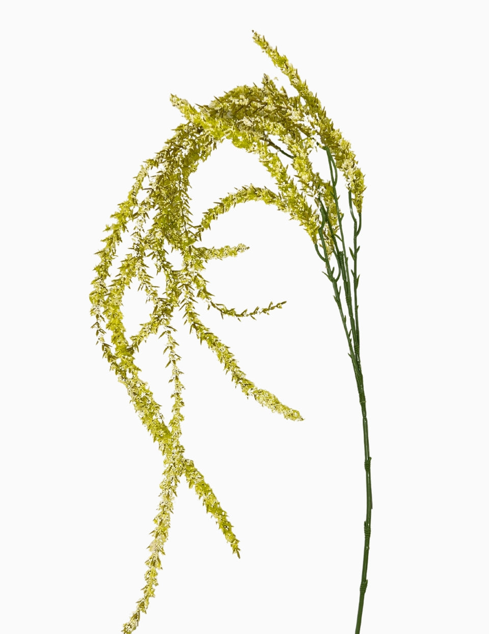 Art flower Amaranthus yellow