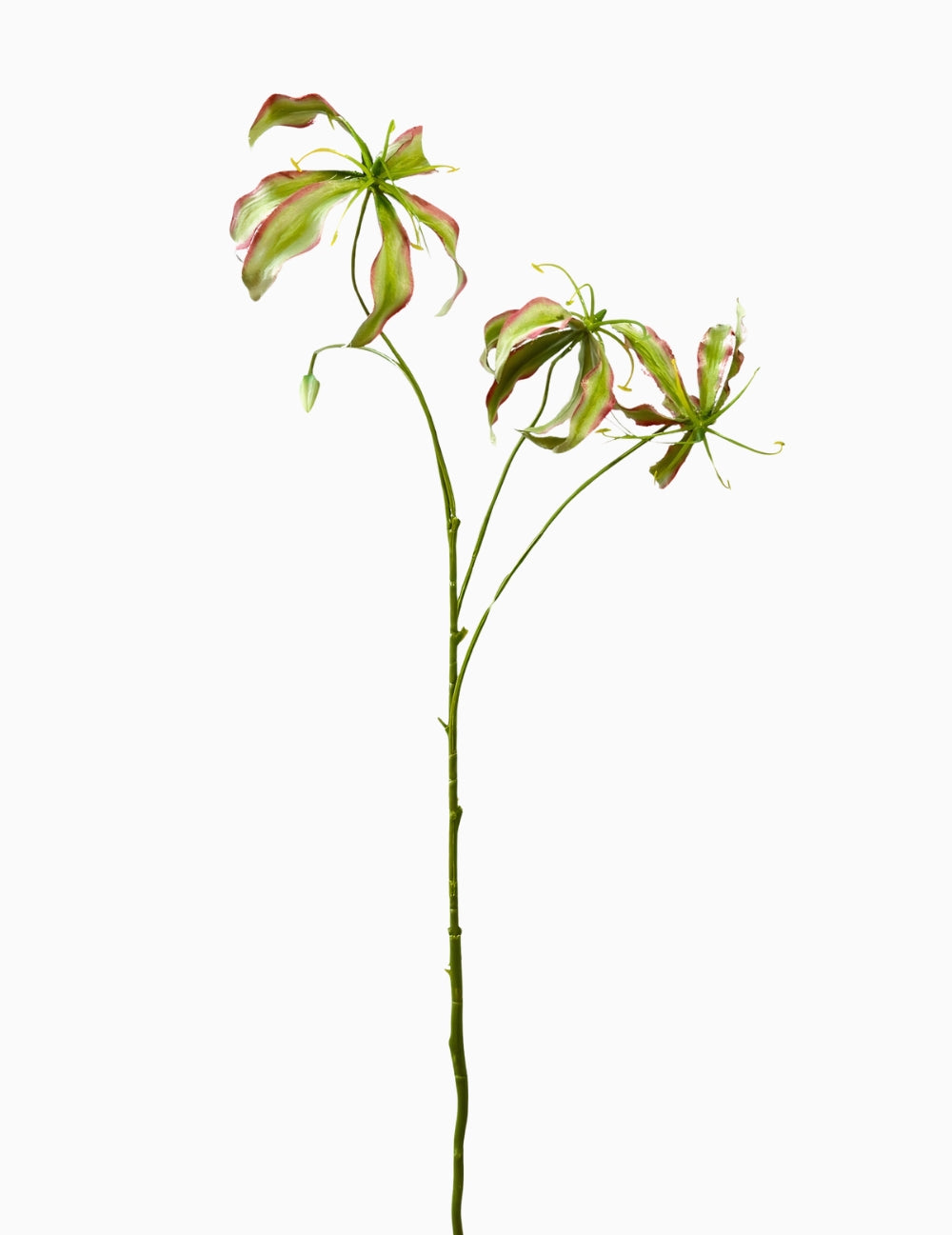 Kunstblume Gloriosa Grün-Rosa