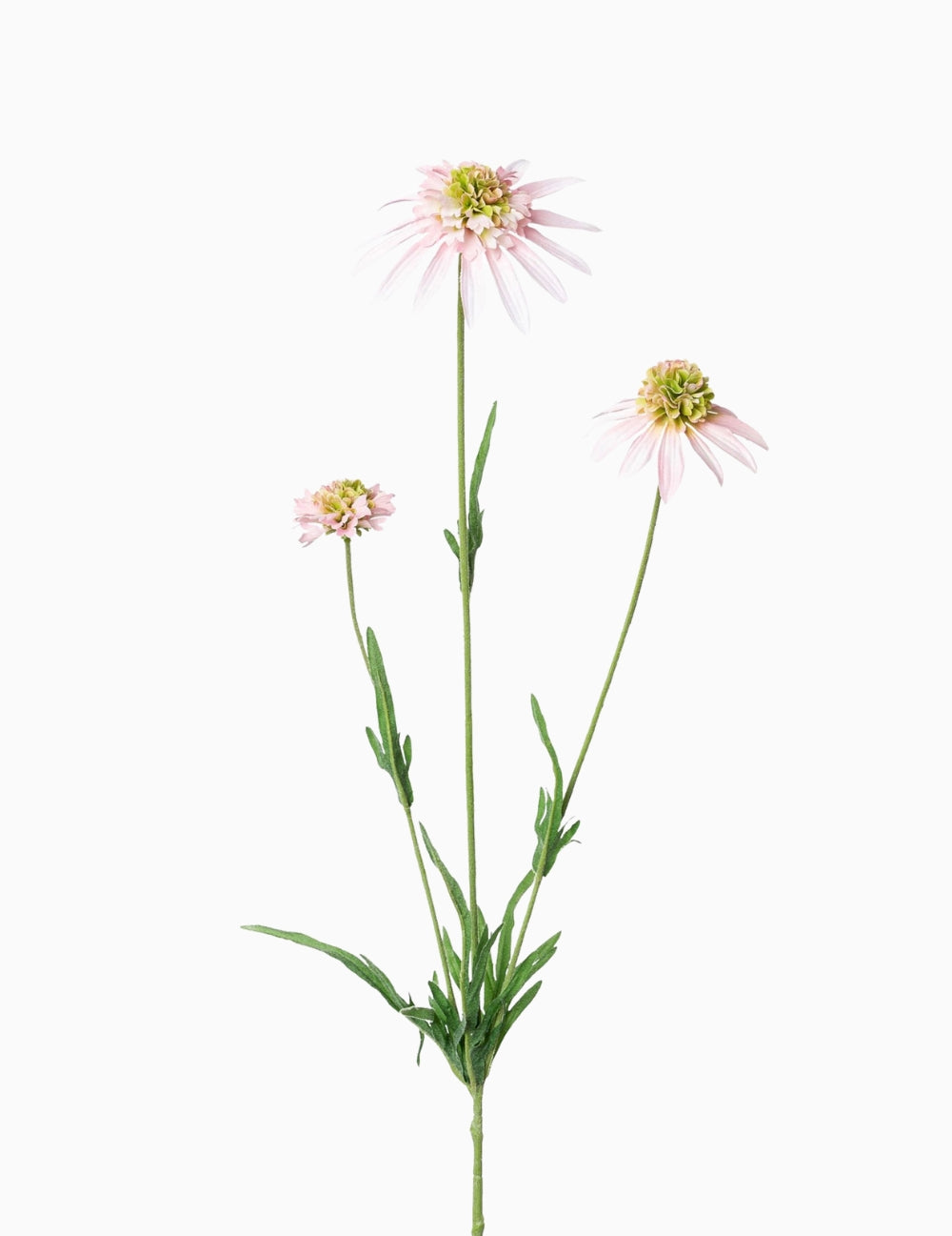 Kunstblume Sonnenhut Rosa