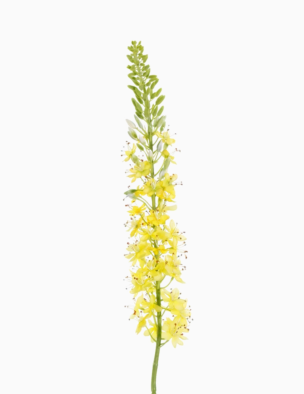 Artificial Flower Steppe Candle Yellow