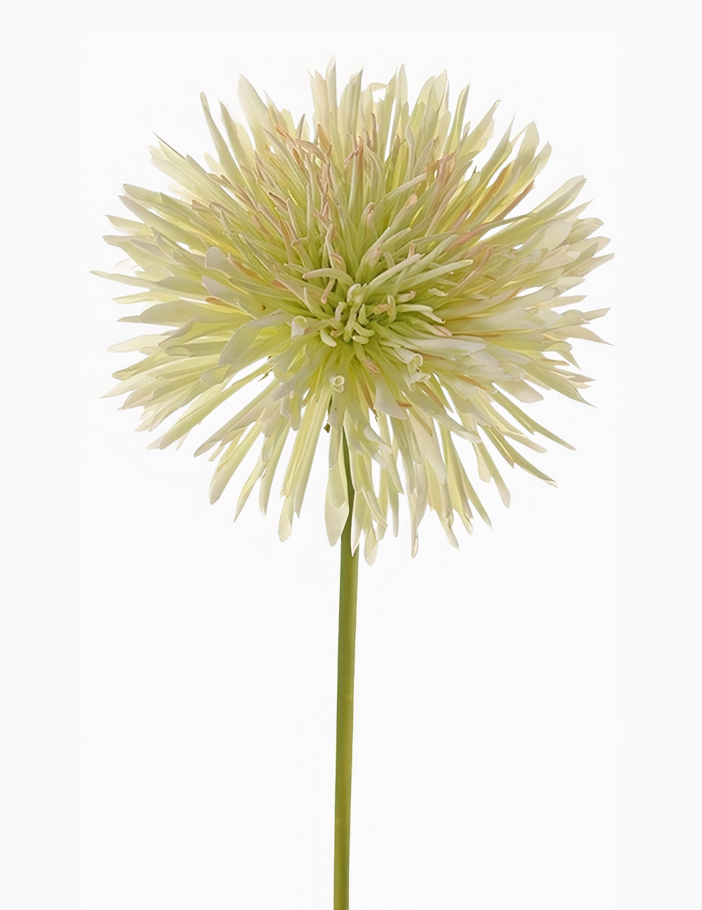 Kunstblume Chrysanth Grün-Weiß