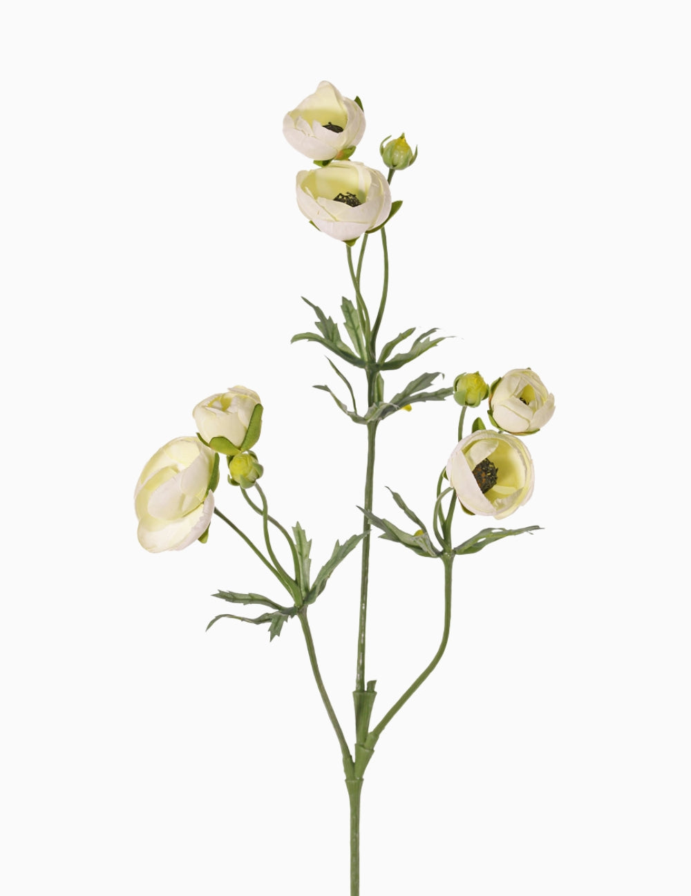 Kunstblume Ranunkel Weiß