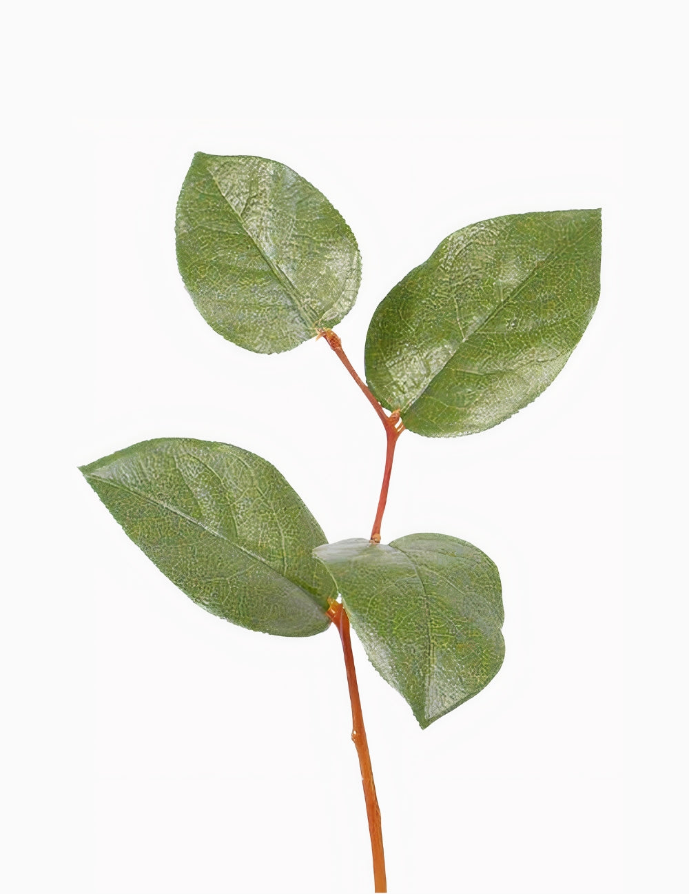 Kunstblume Apfelblattzweig Grün