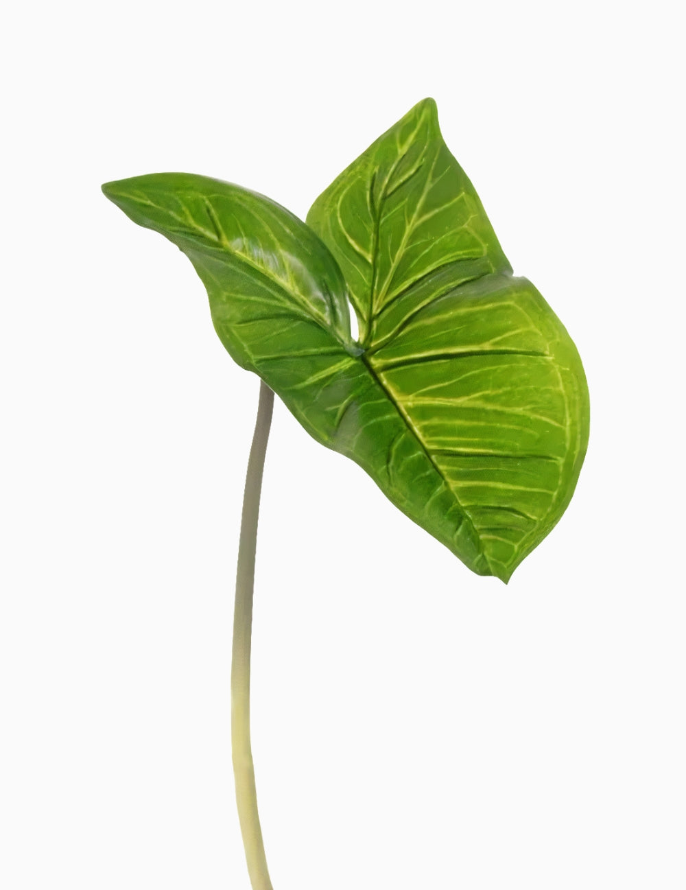 Artificial Flower Arum Leaf Green