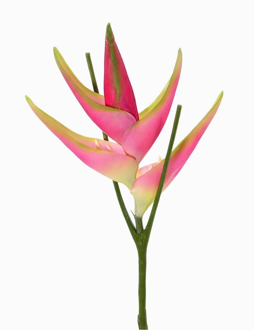 Kunstblume Helikonie Pink