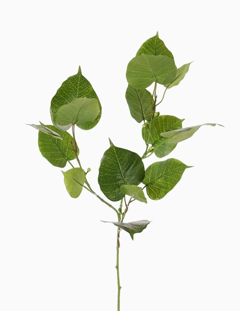 Kunstblume Feigenblattzweig Grün
