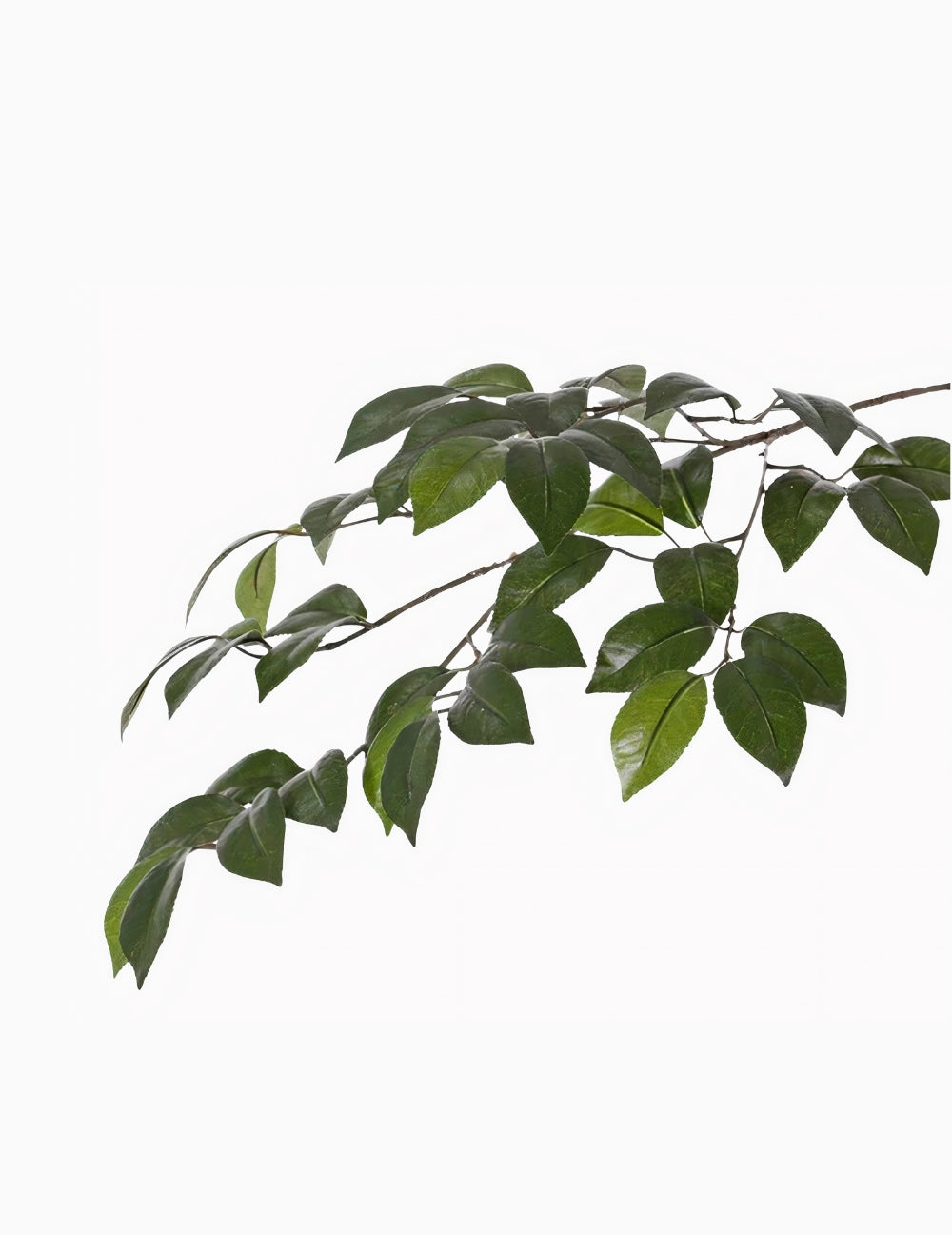 Mesterséges virág kamélia ág sötétzöld