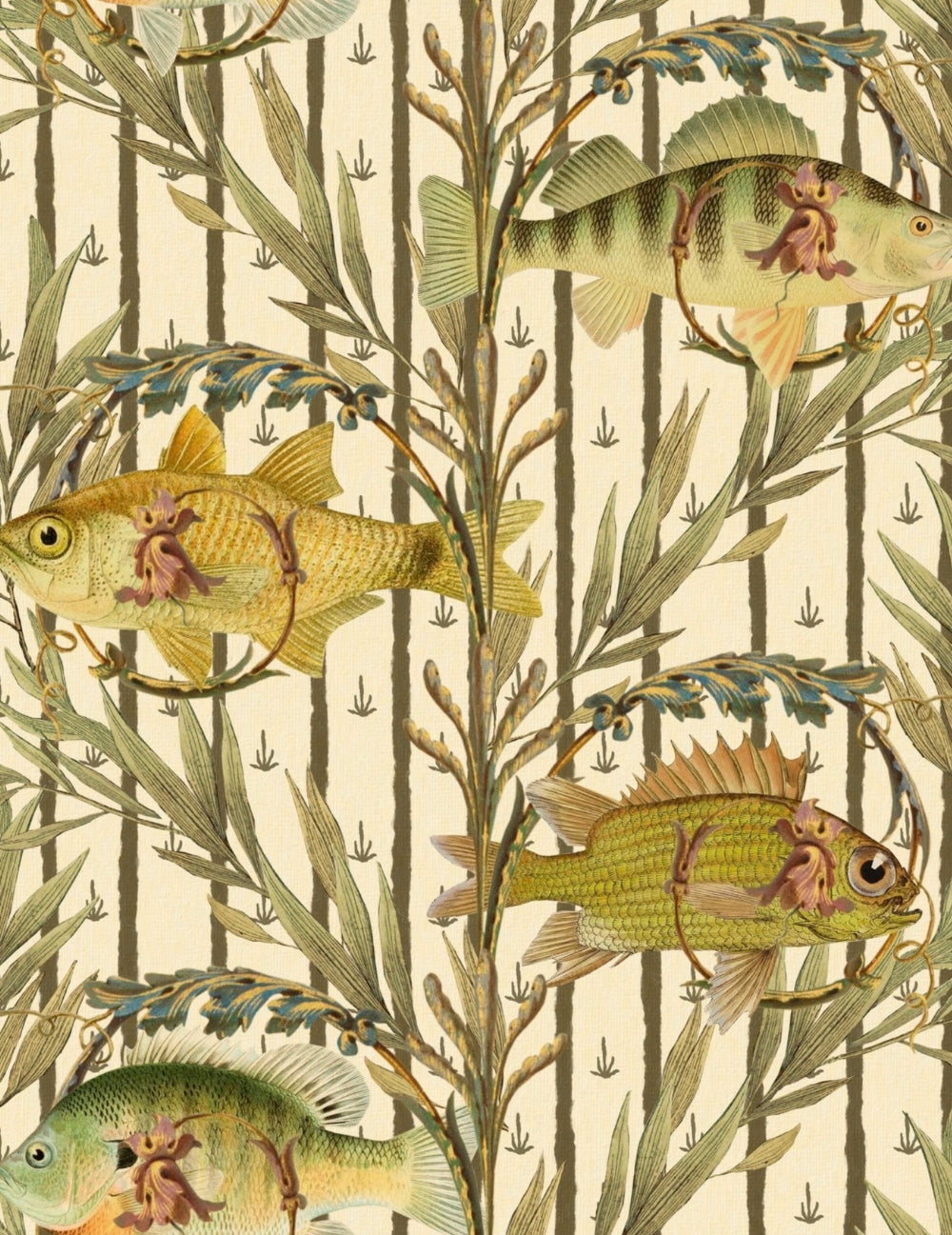 Wandtapete Sweetwater Fishes