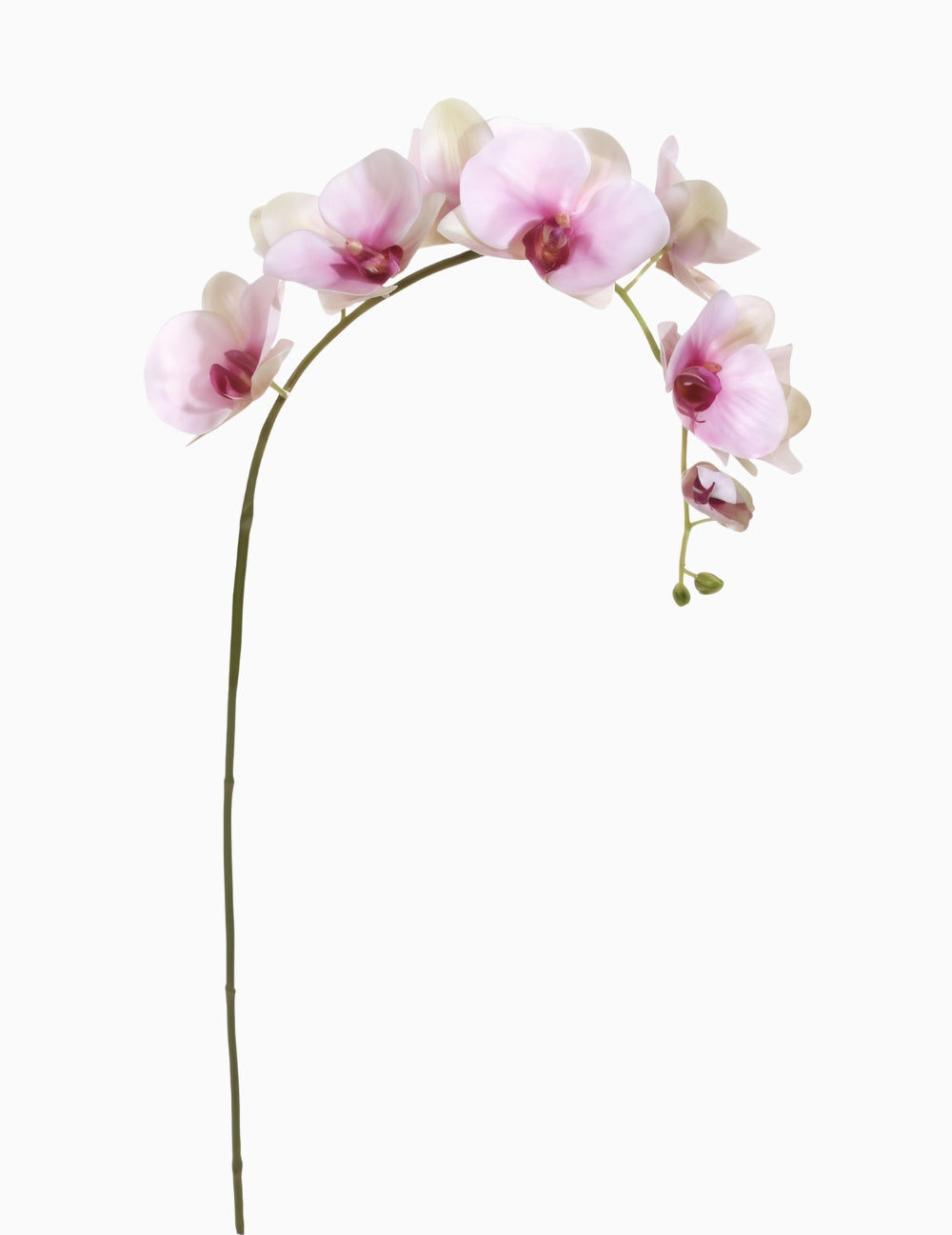 Kunstblume Orchidee 'Real Touch' Rosa