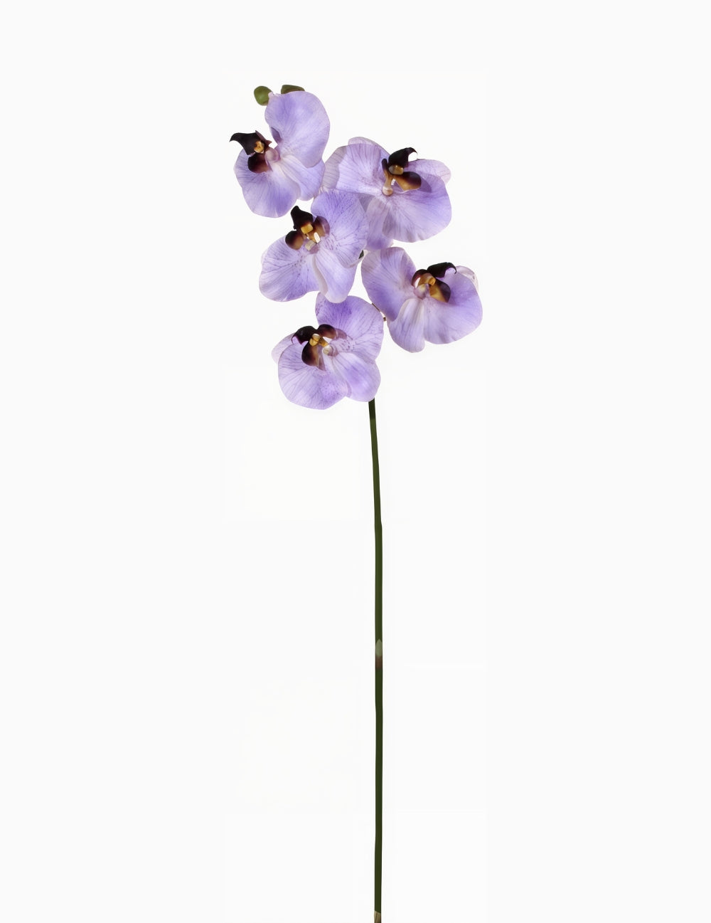 Kunstblume Orchidee Lila
