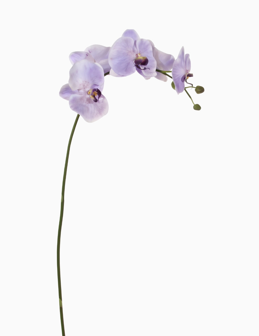 Kunstblume Orchidee Lila
