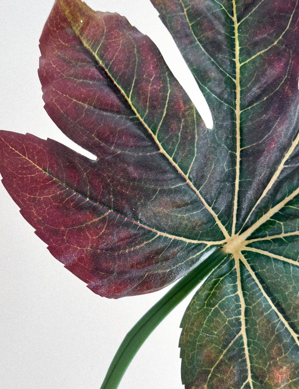 Kunstblume Fatsia-Blattzweig Grün Pink