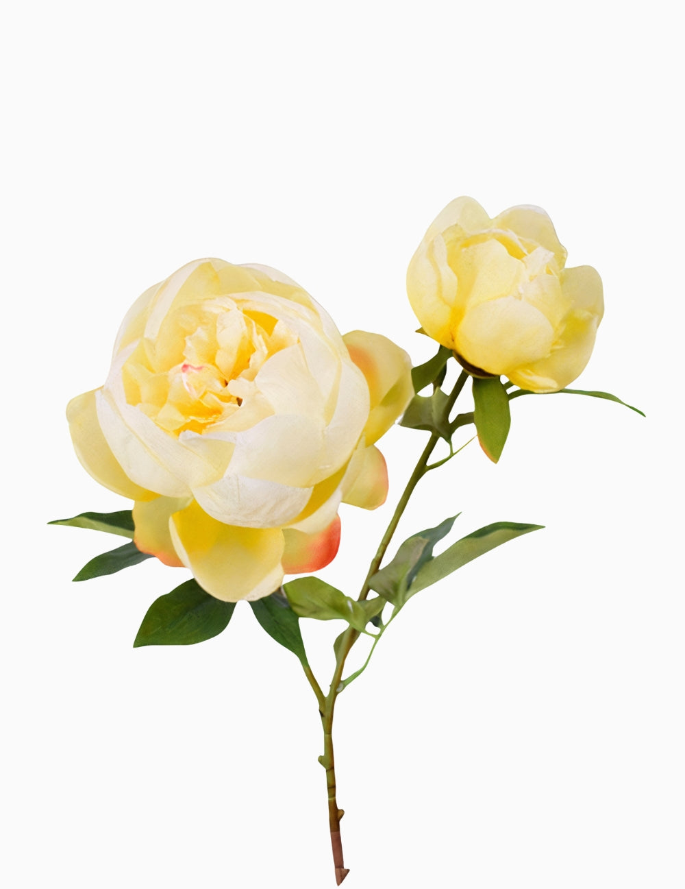 Kunstblume Pfingstrose Gelb