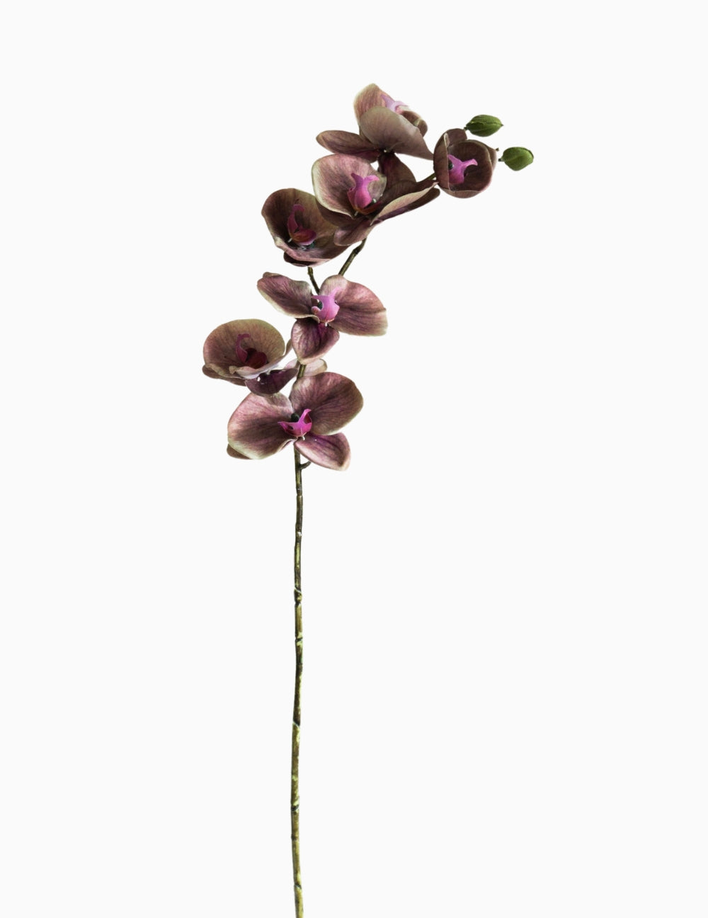 Kunstblume Orchidee Violett-Braun
