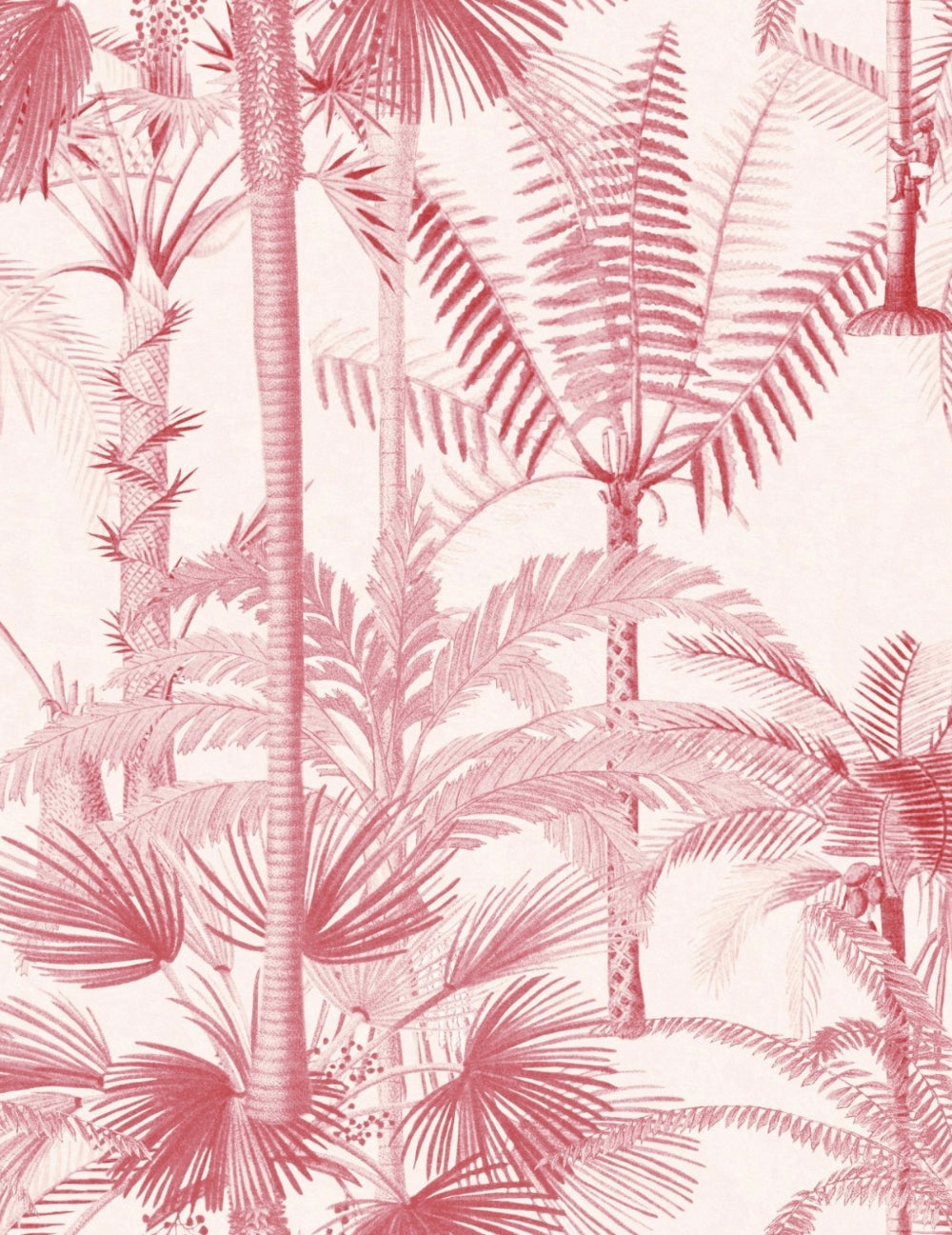 Wandtapete Palmera Cubana Pink