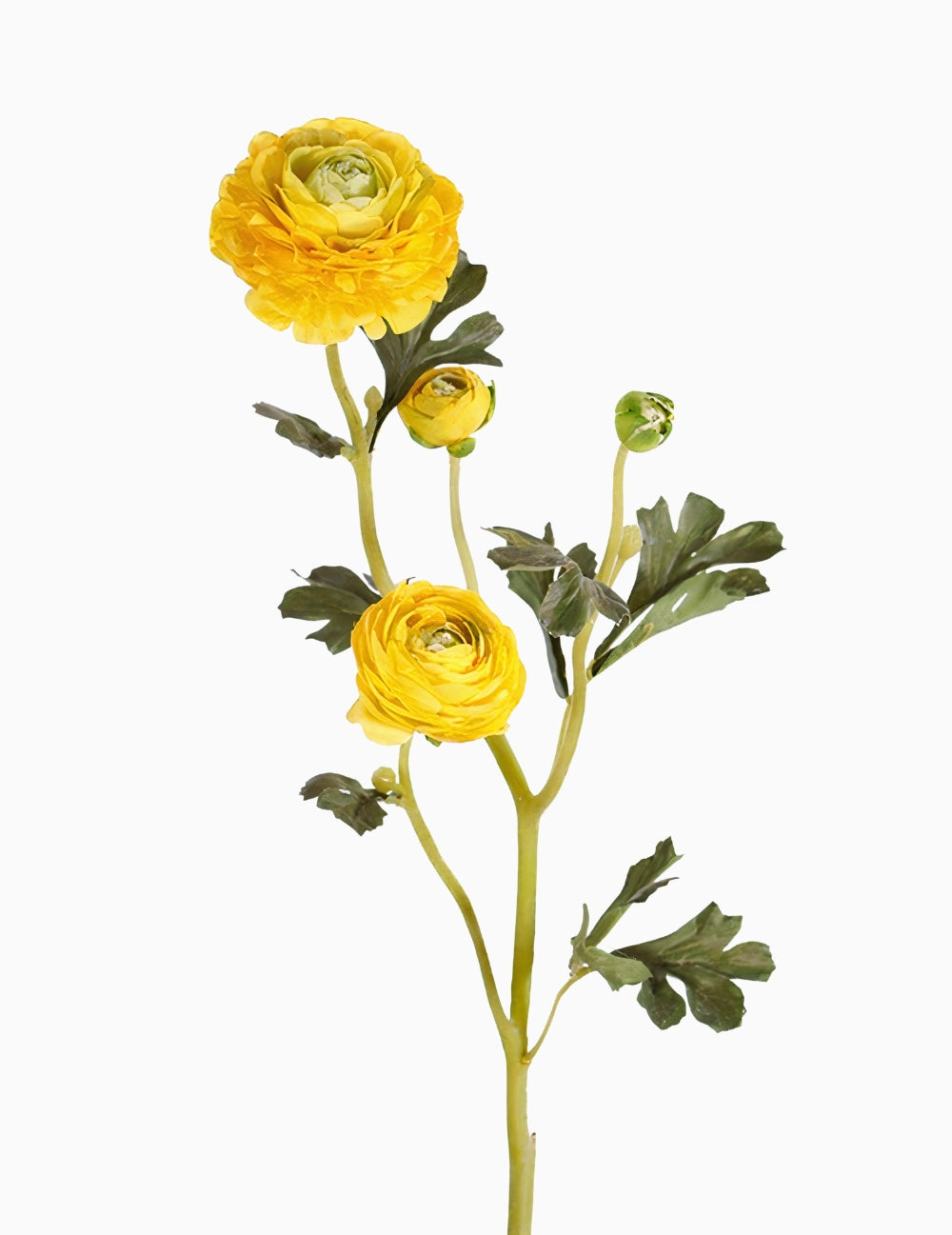 Kunstblume Ranunkel Gelb