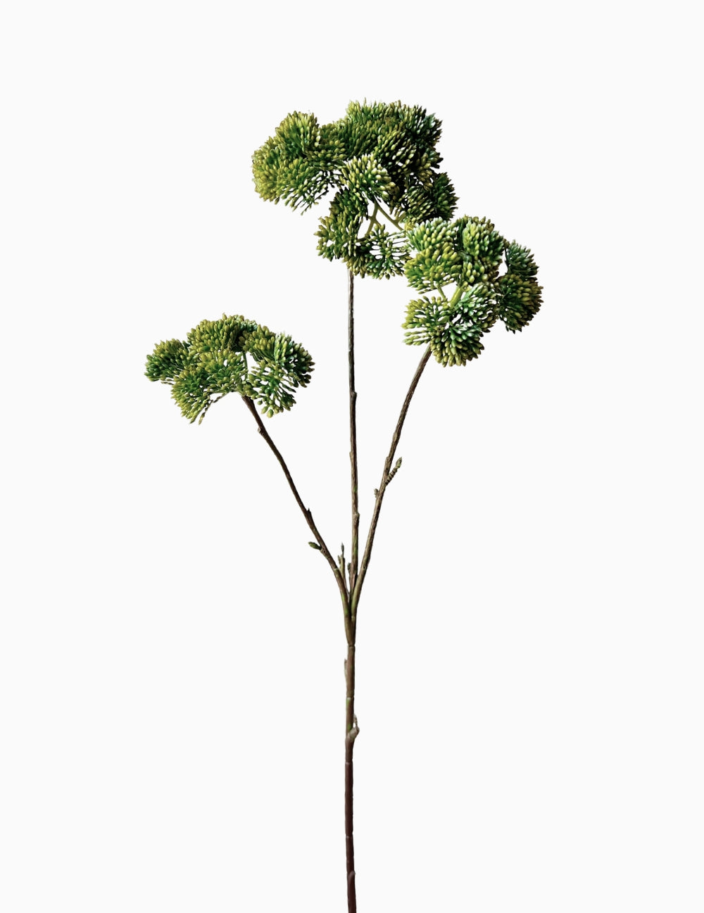 Artificial flower sedum branch green