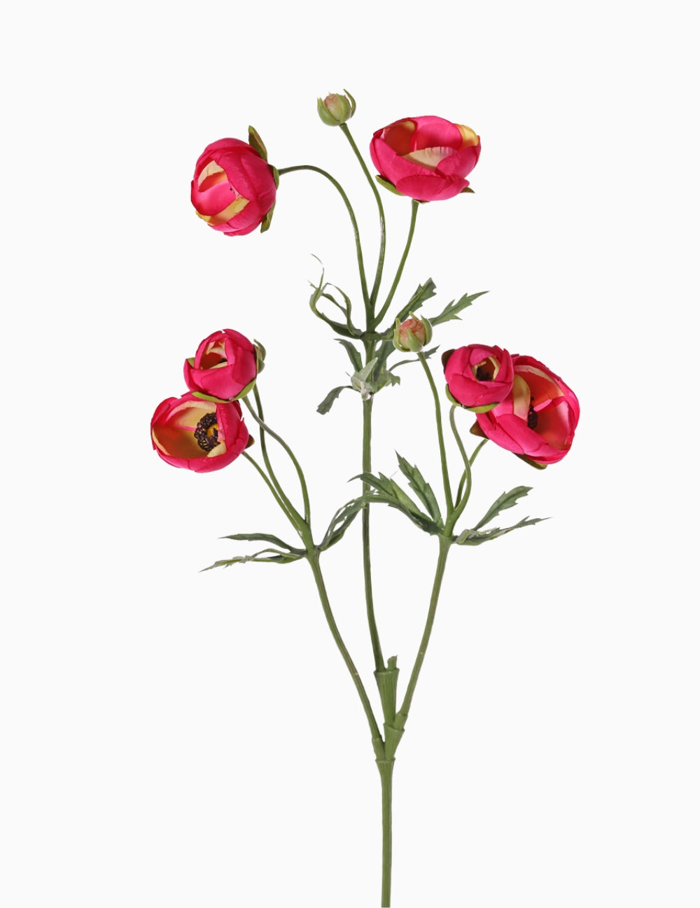 Kunstblume Ranunkel Fuchsiapink