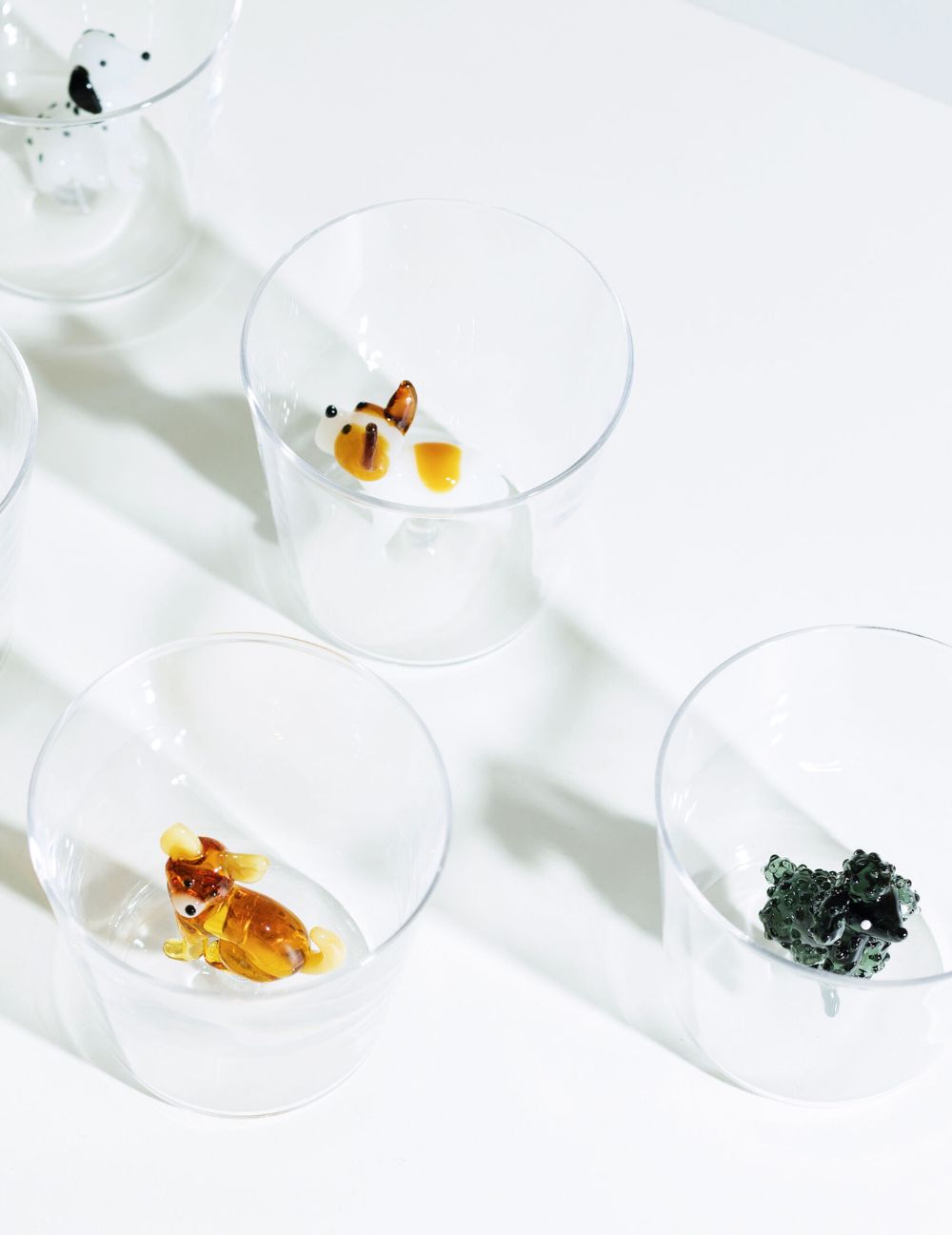 Tumbler Bull Terrier