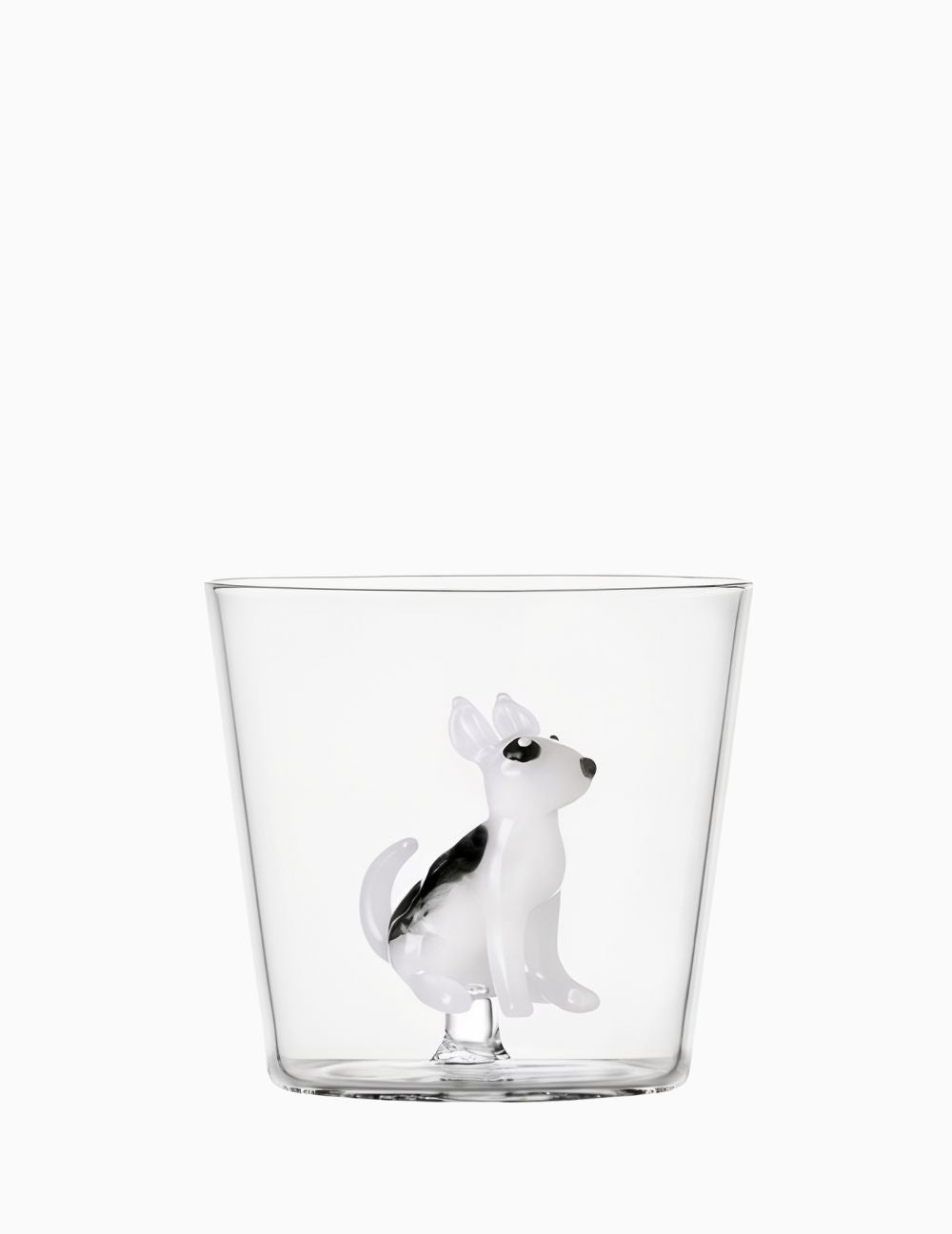 Tumbler Bull Terrier