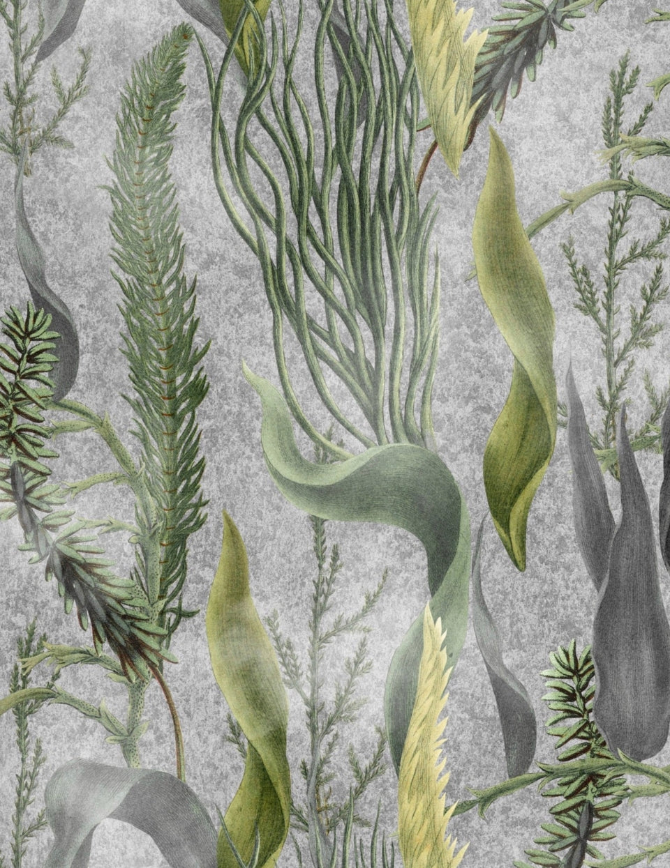 Wandtapete Aquatic Plants Grey